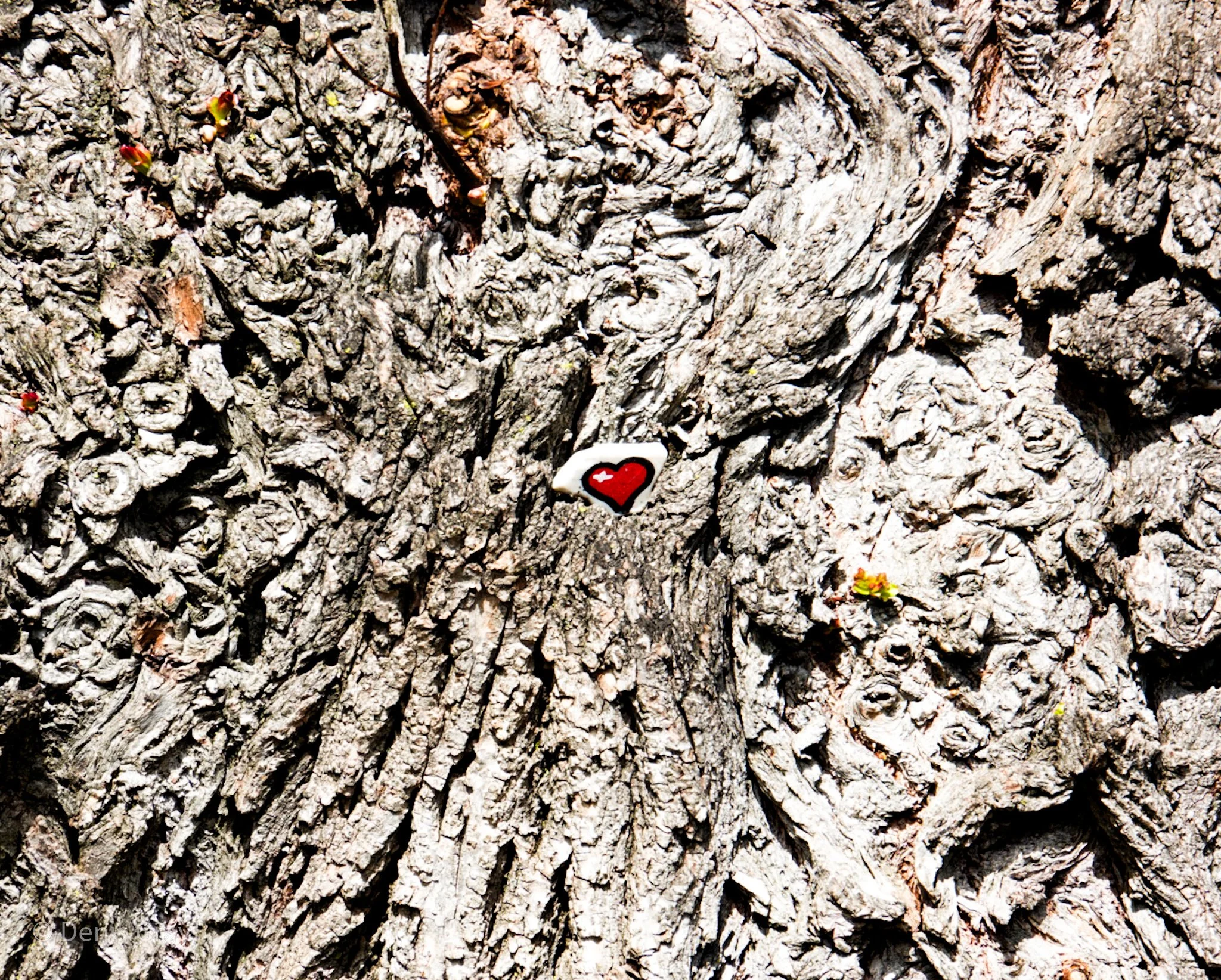 Found Object