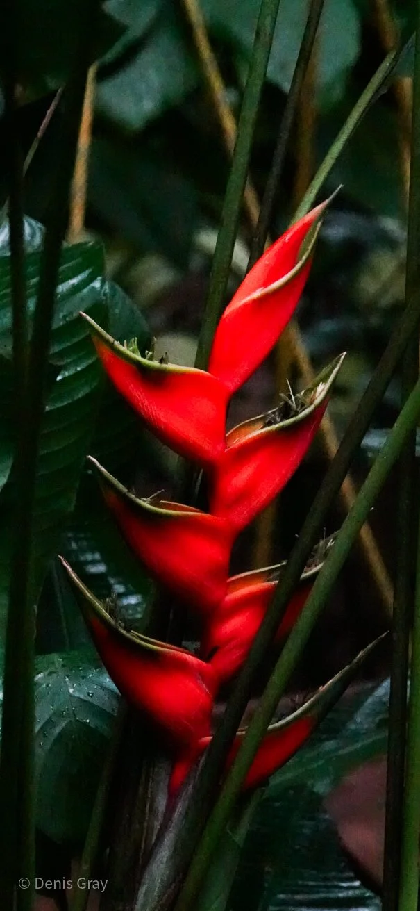 DSC04853.jpg
