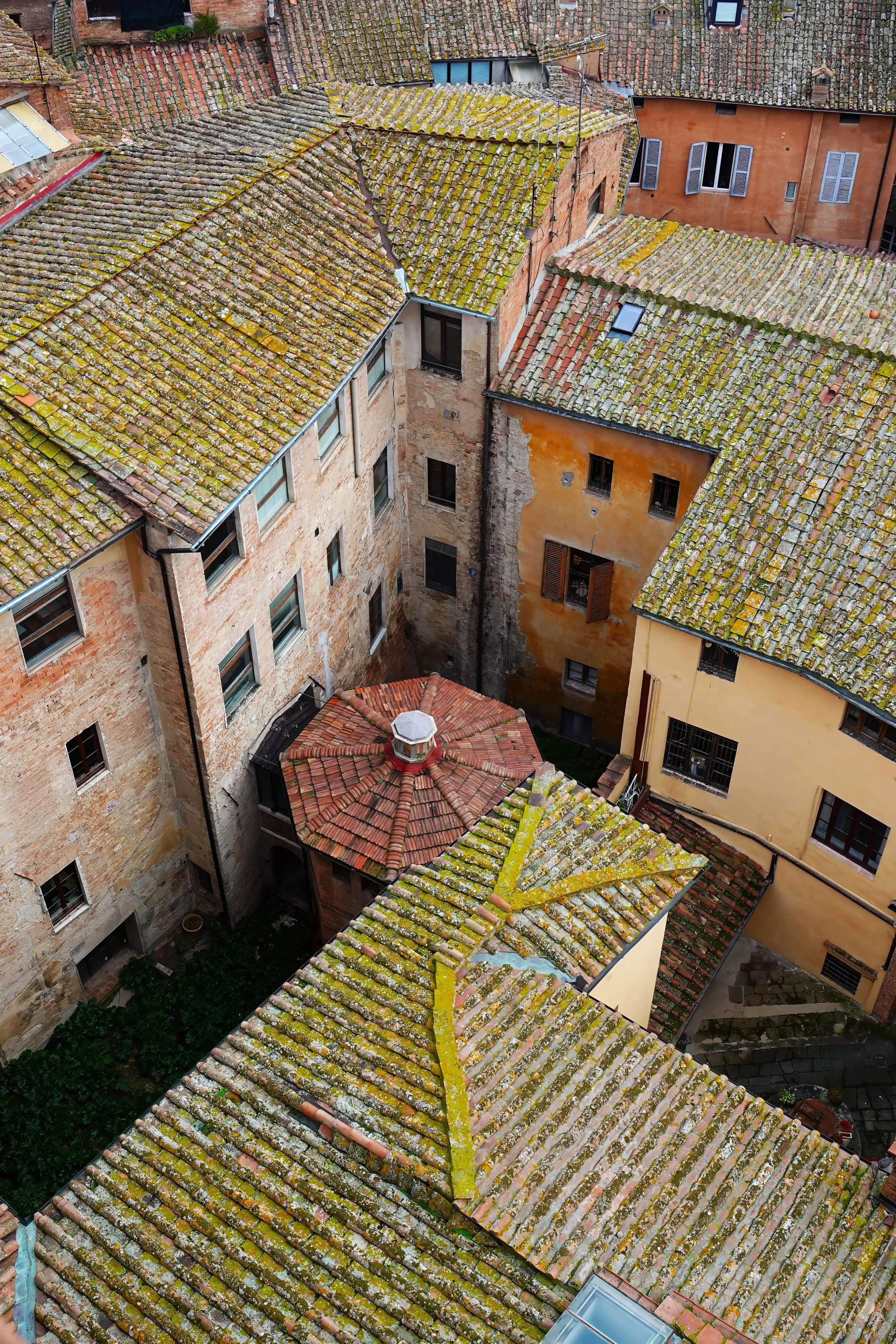 Siena Rooftops