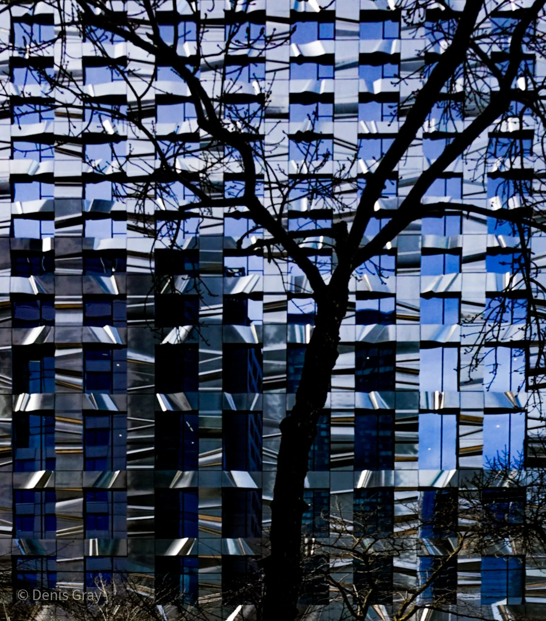 Gehry designed Forma, Toronto