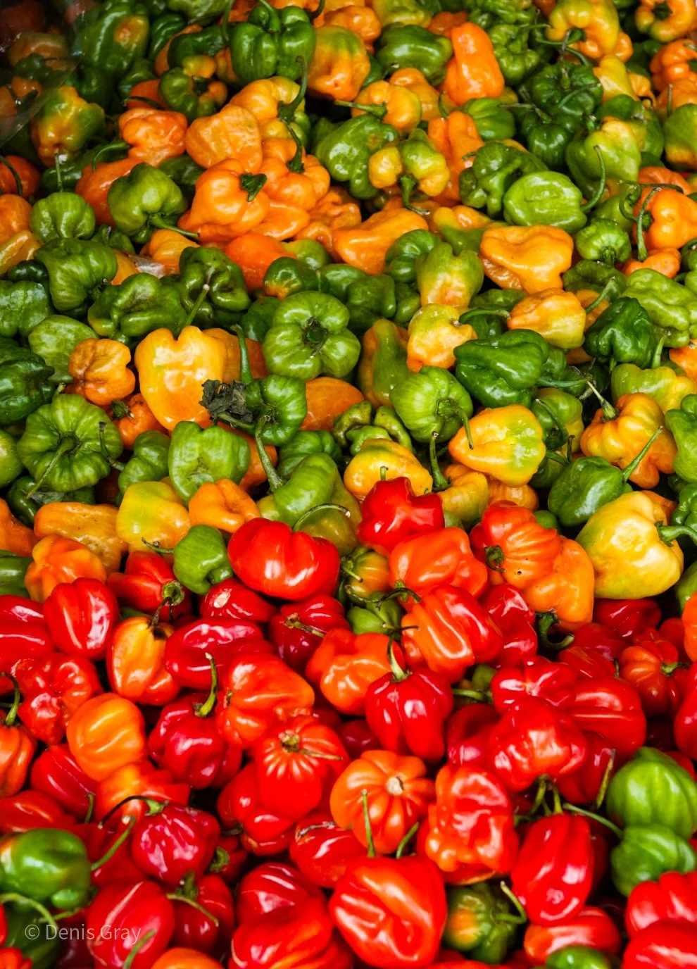 Peppers in the Belmopan Market, Belmopan, Central Belize