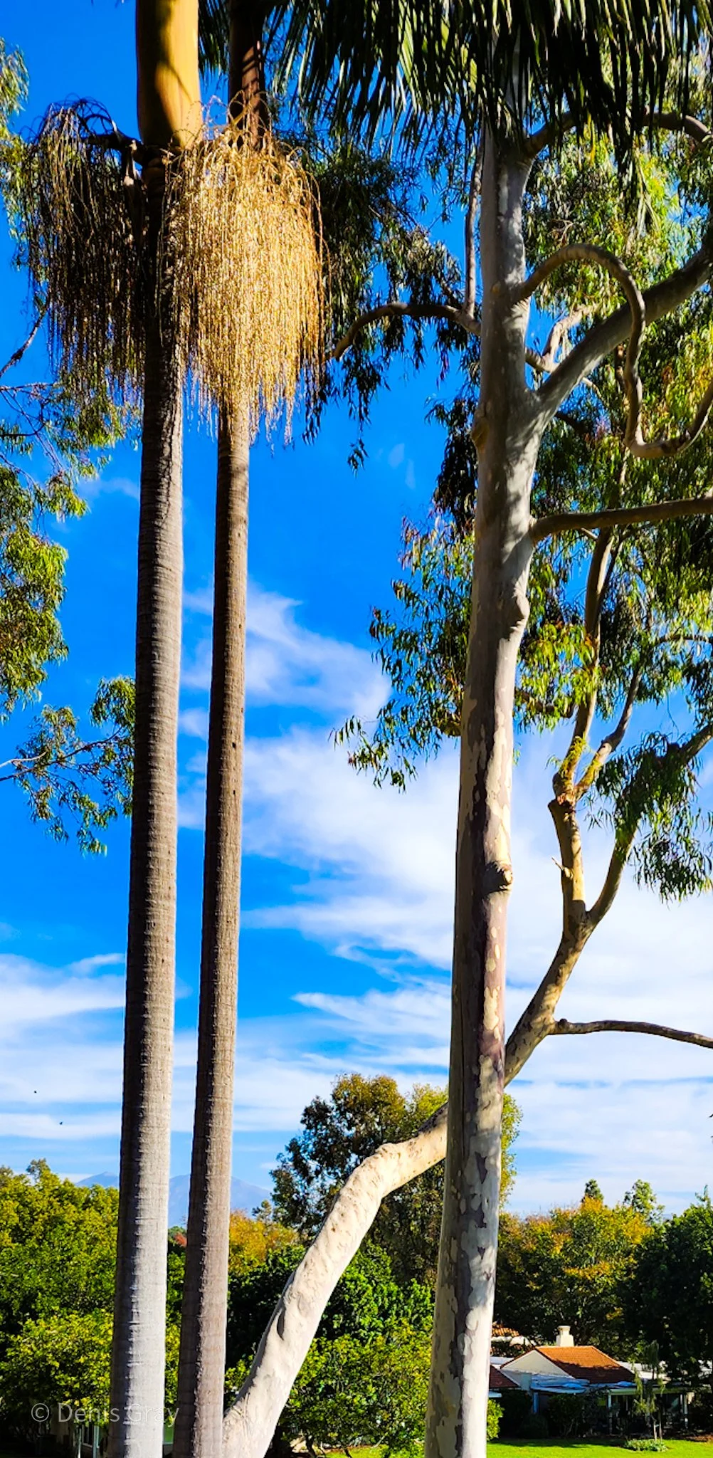 20251221_104851 (8).jpg