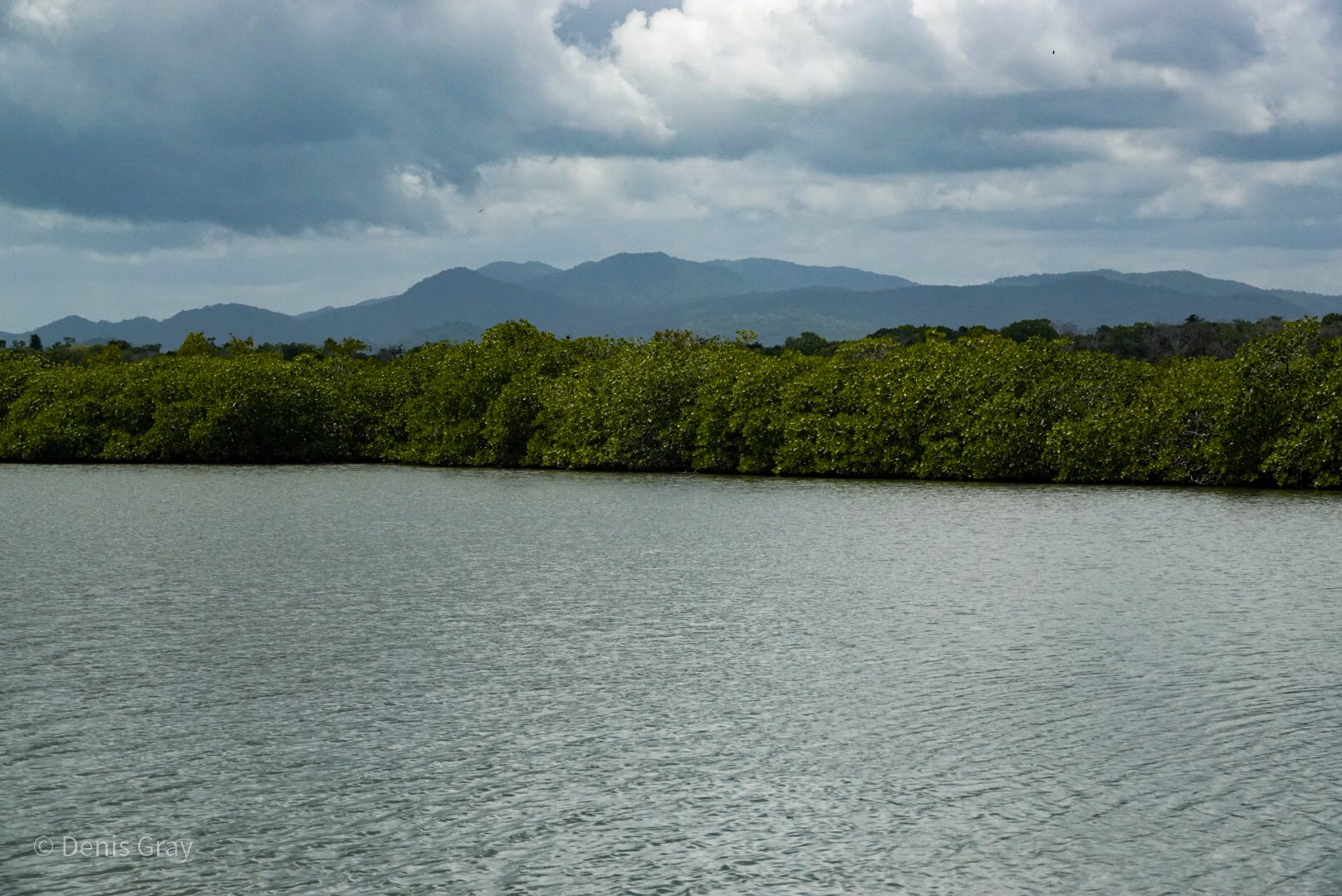 Mangroves and lagoon near Hopkins, Belize