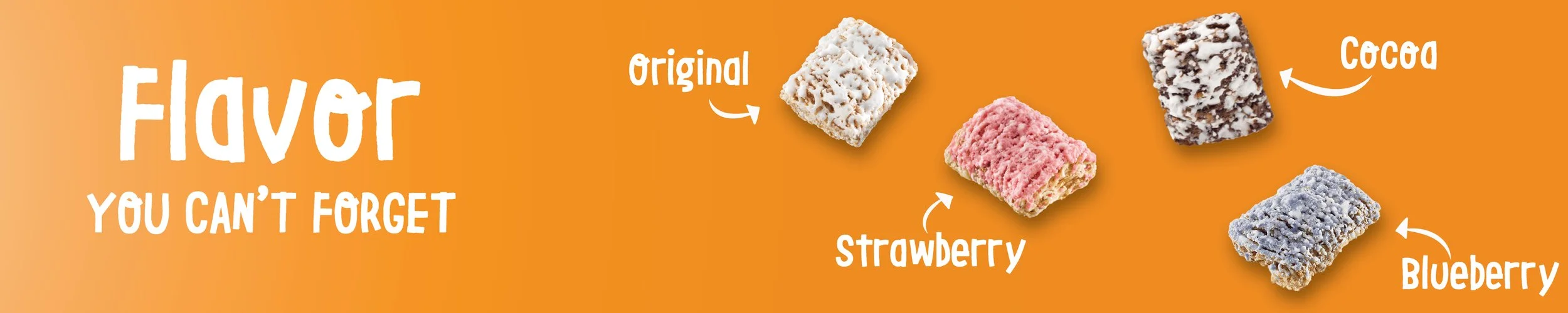 Mini Wheats AMZ Flavor Banner.jpg
