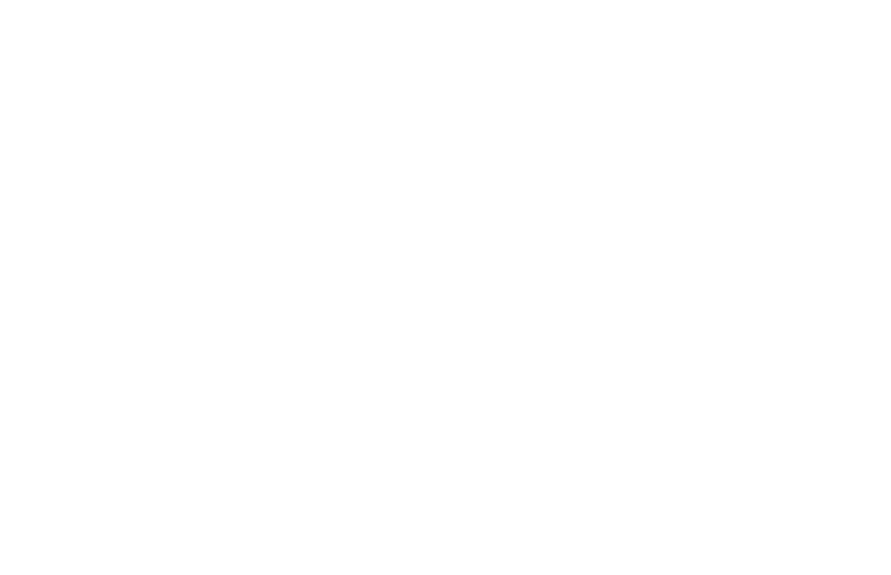 MR LOGO.png
