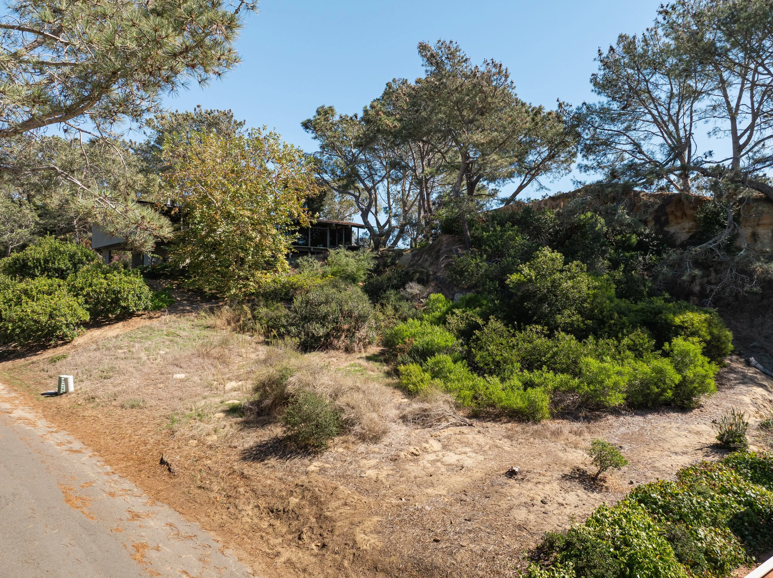 DJI_20261019114833_0001_D.jpg