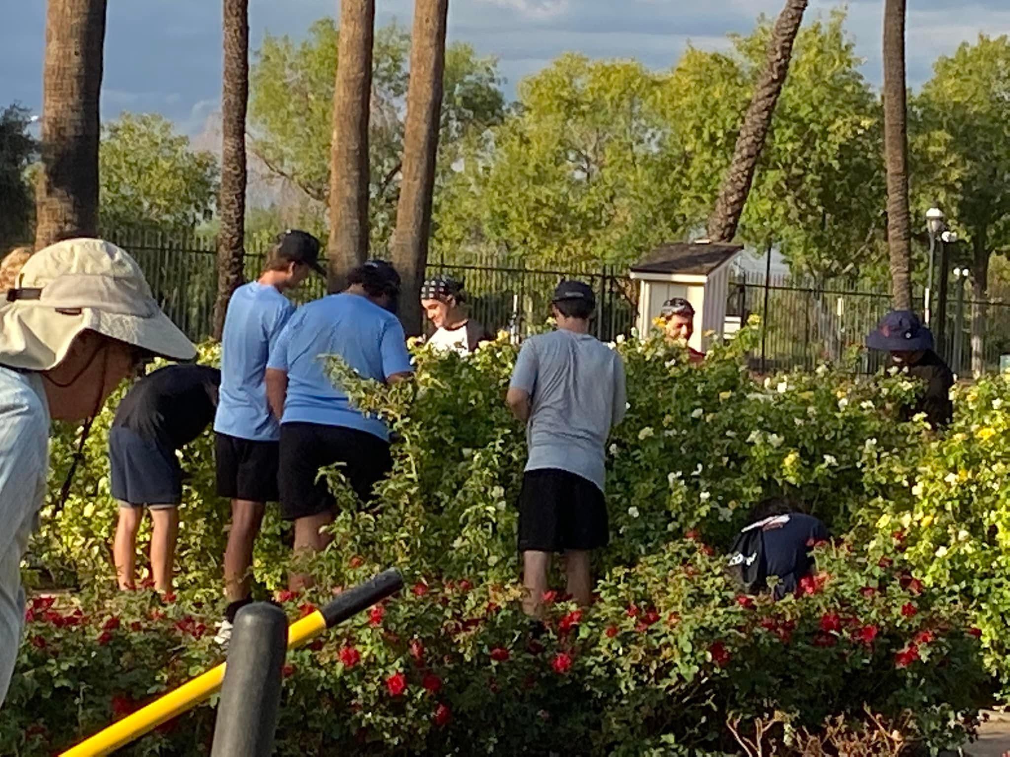 People standing among lush green trees and flowering bushes outdoors, some wearing hats and casual clothing, with a fence and lampposts in the background, under a sky with clouds.