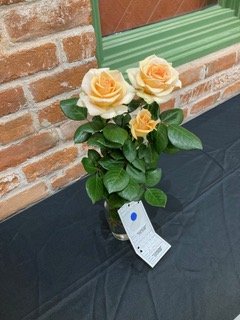 A glass vase with three pale yellow roses and green foliage, placed on a black tablecloth against a brick wall background.
