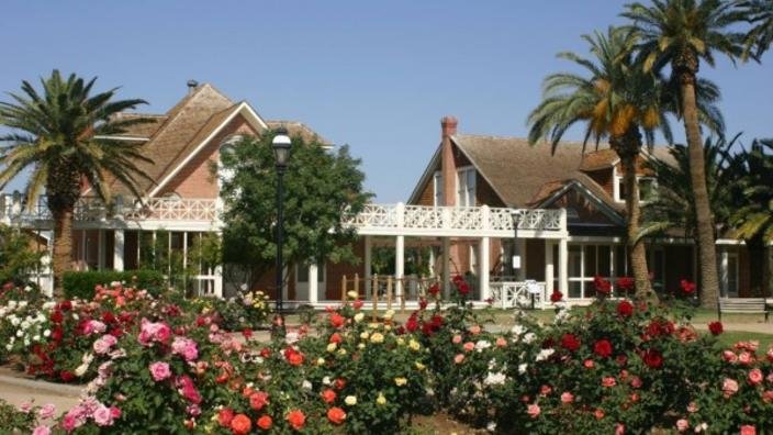 A house with a front porch, surrounded by colorful roses and tall palm trees, under a clear blue sky.