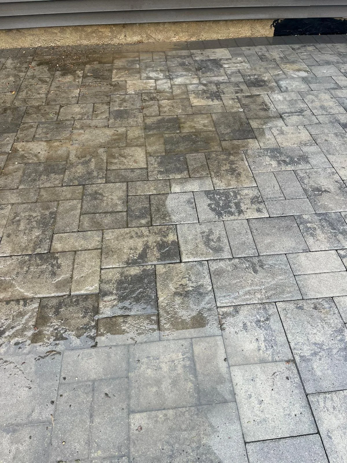 WhatsApp Image 2025-04-17 at 19.37.11_9042f784.jpg