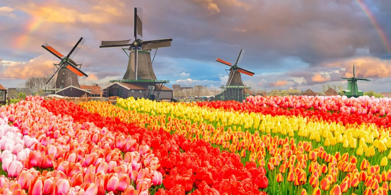 Tulip Time on the Rhine