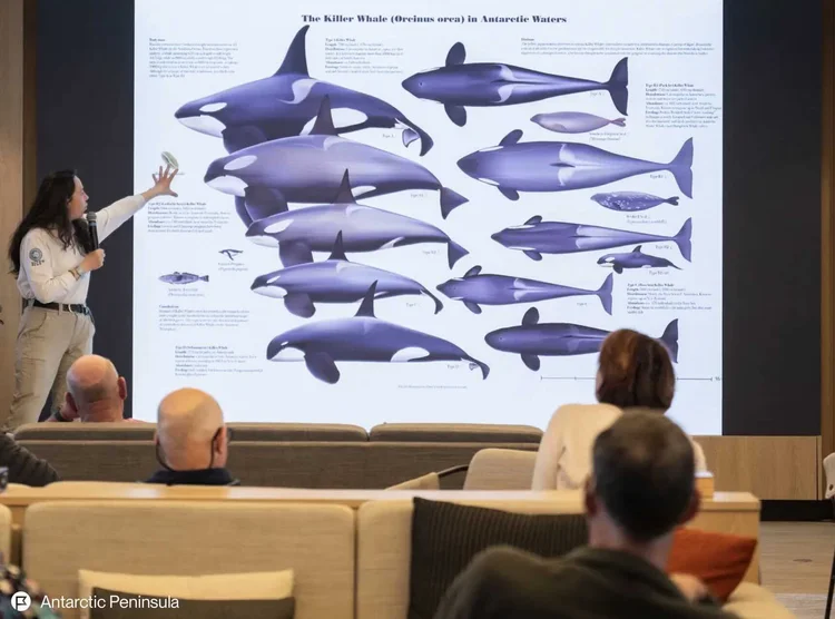 Destination lecture in the presentation room
