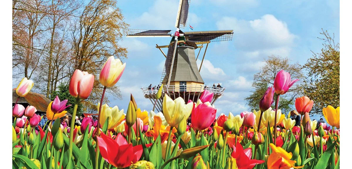 Tulip fields and Keukenhof Gardens in bloom