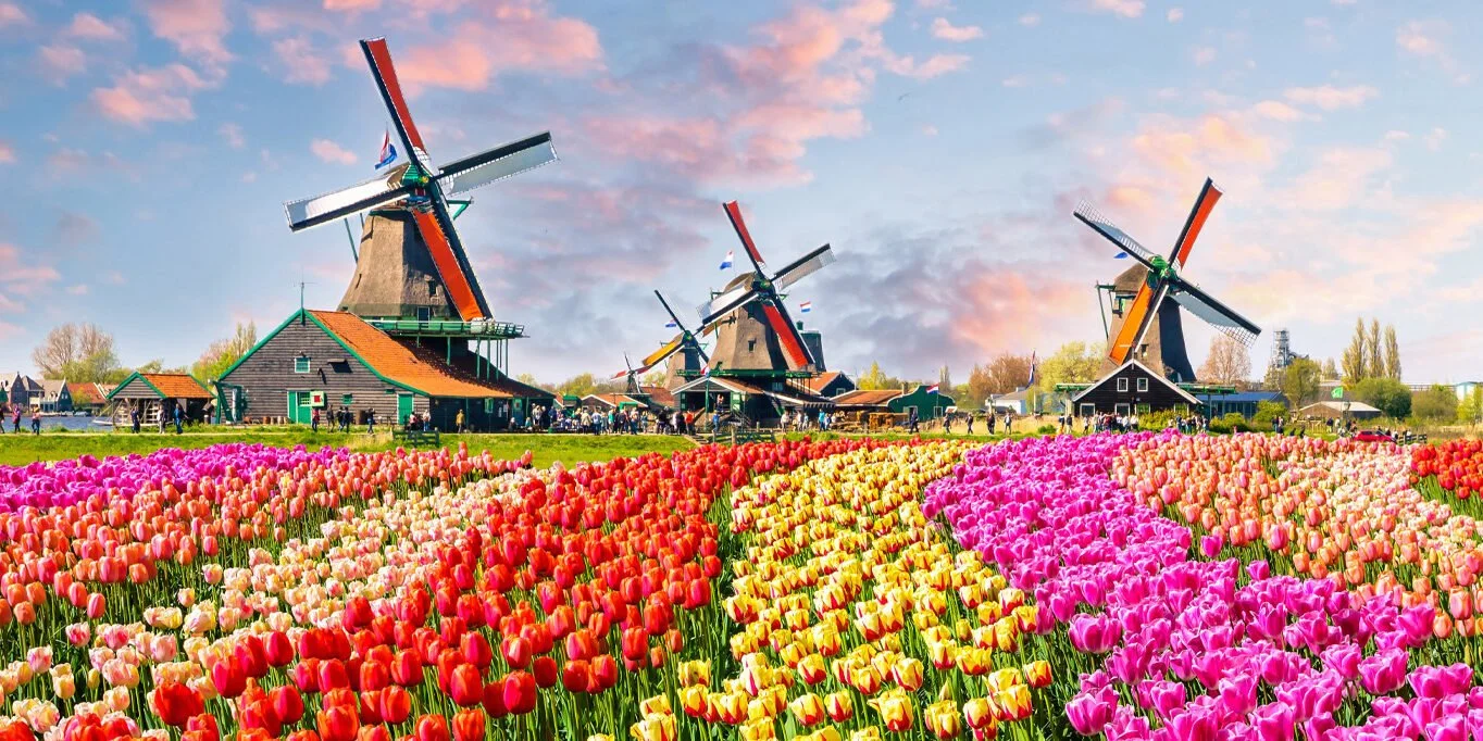 Holland & Belgium in Bloom