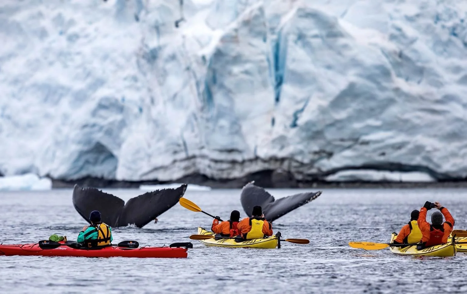 Kayaking among the ice in Antarctica on a Swan Hellenic polar expedition