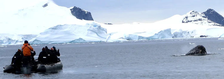 Discovery Team guiding guests ashore