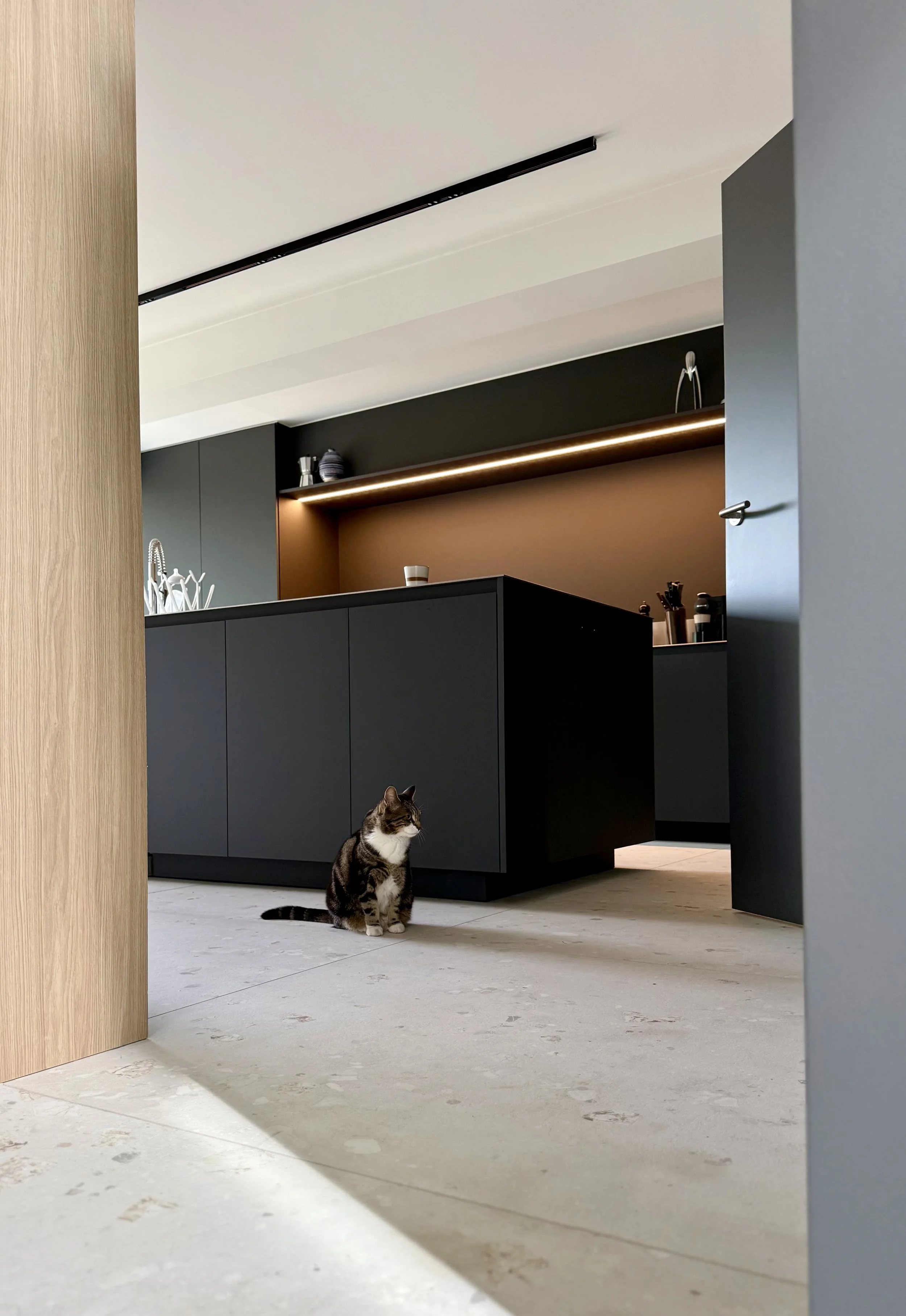 19.jpeg
