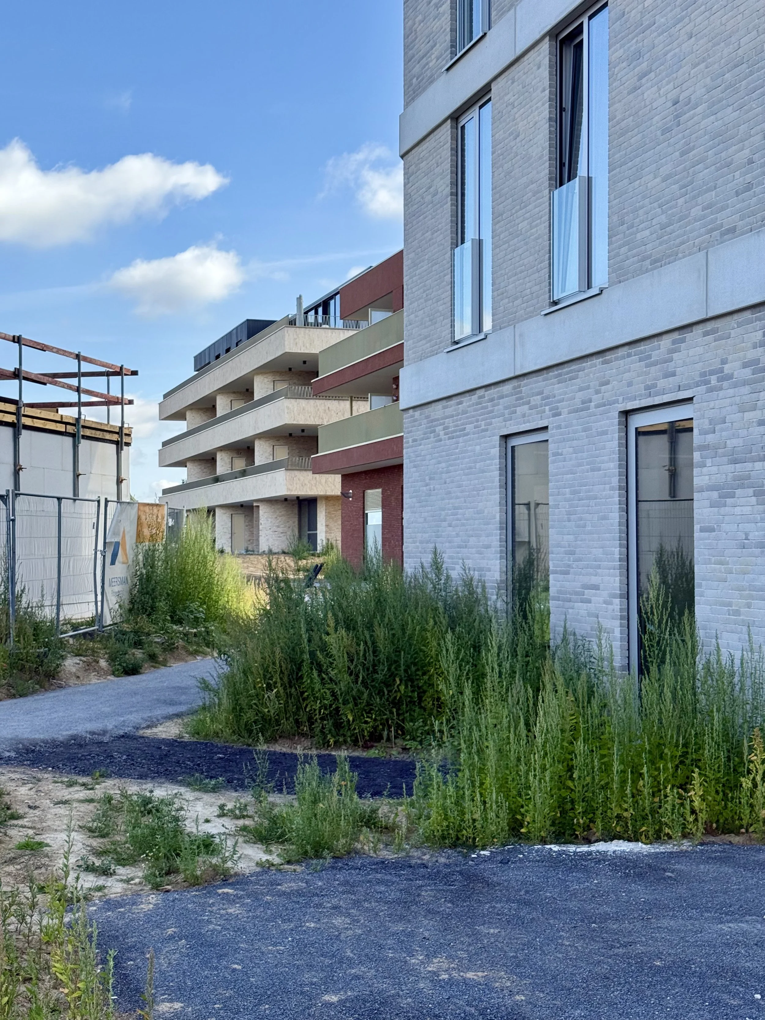 Residential building under construction with a sidewalk and overgrown plants in the foreground, blue sky and some clouds.