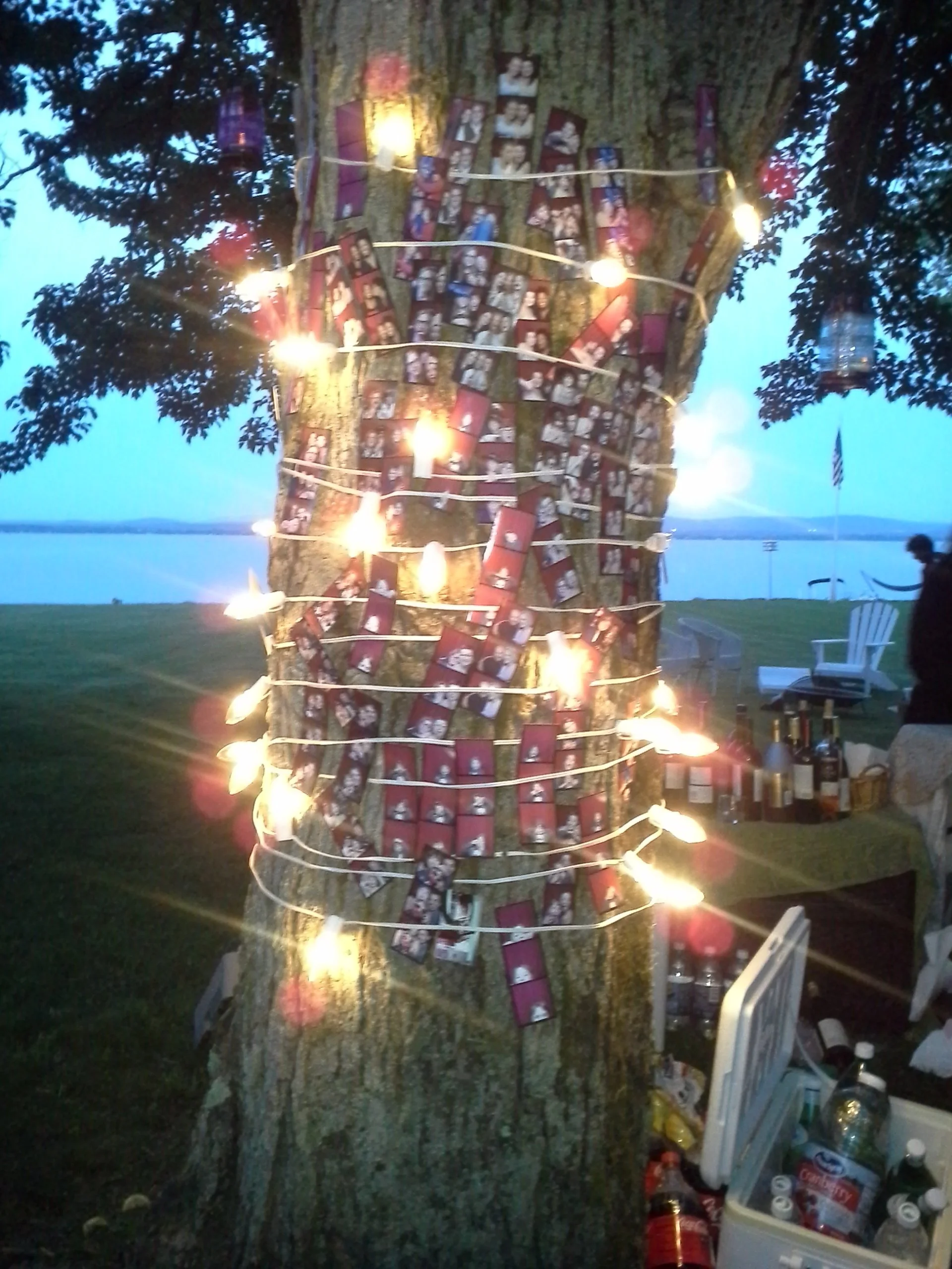 vermont graduation inspiration white lights tree trunk