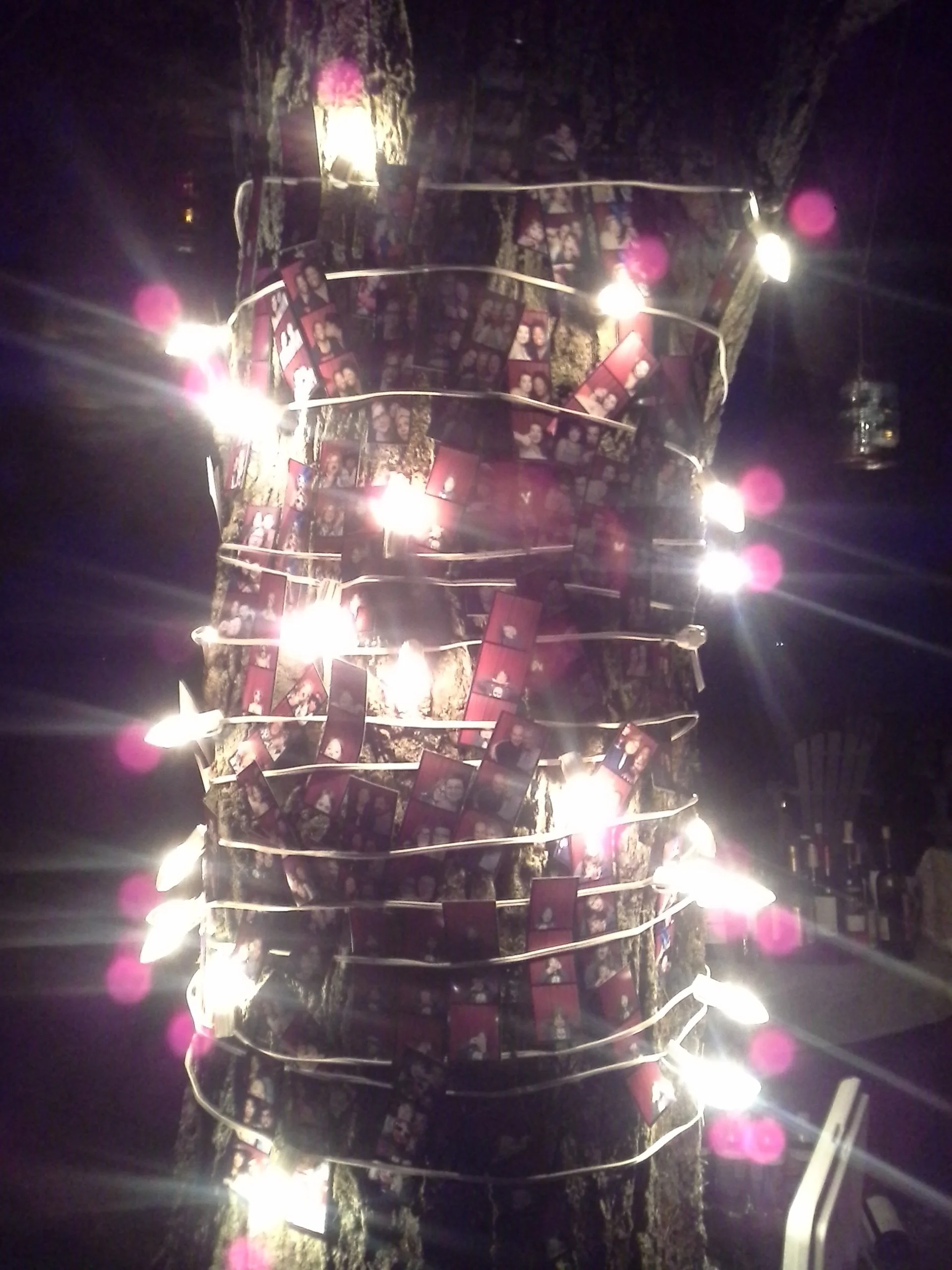 vermont graduation inspiration photo strips tree trunk