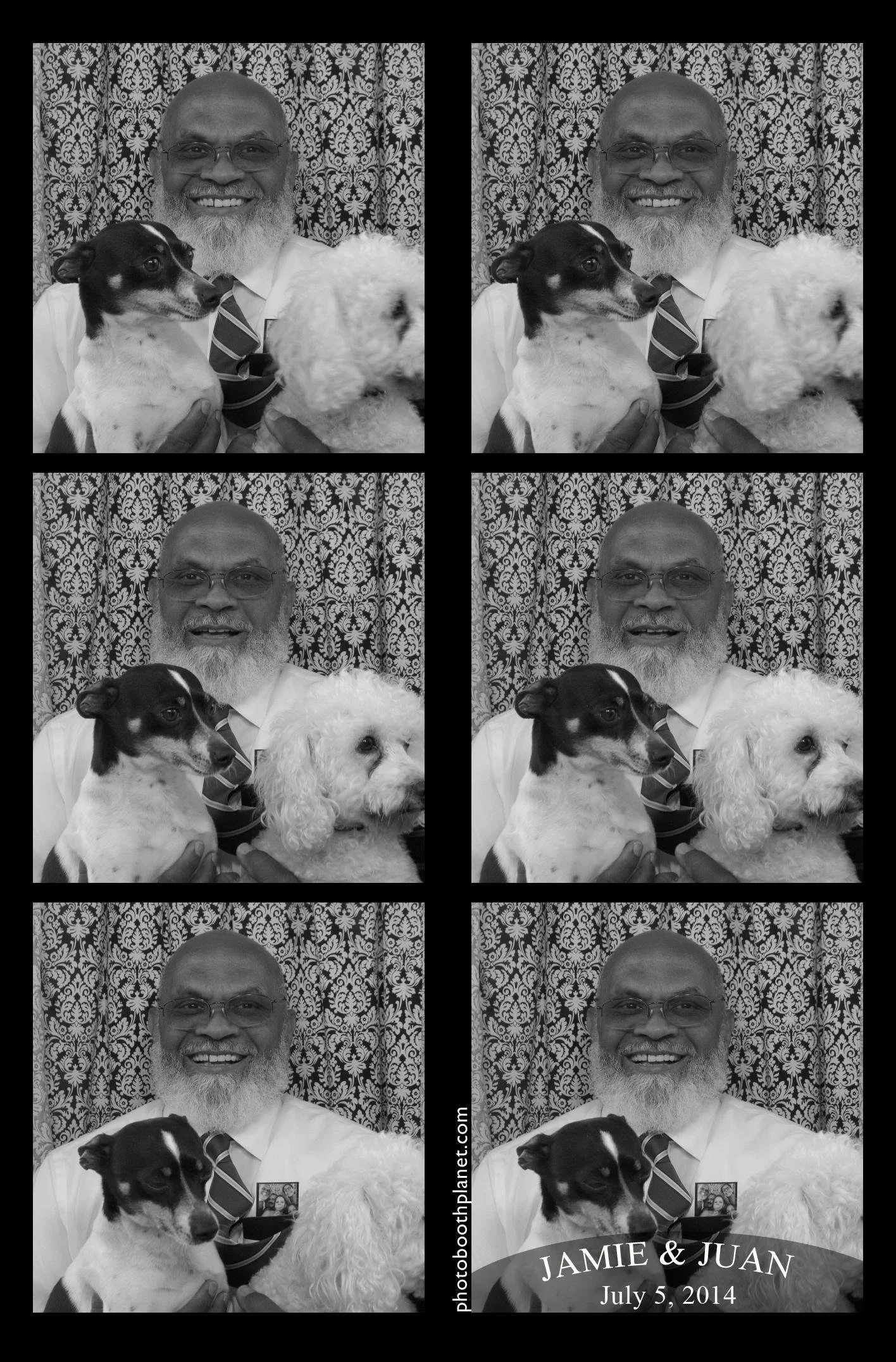 connecticut photo strip hall of fame 2014 #6 pet dogs