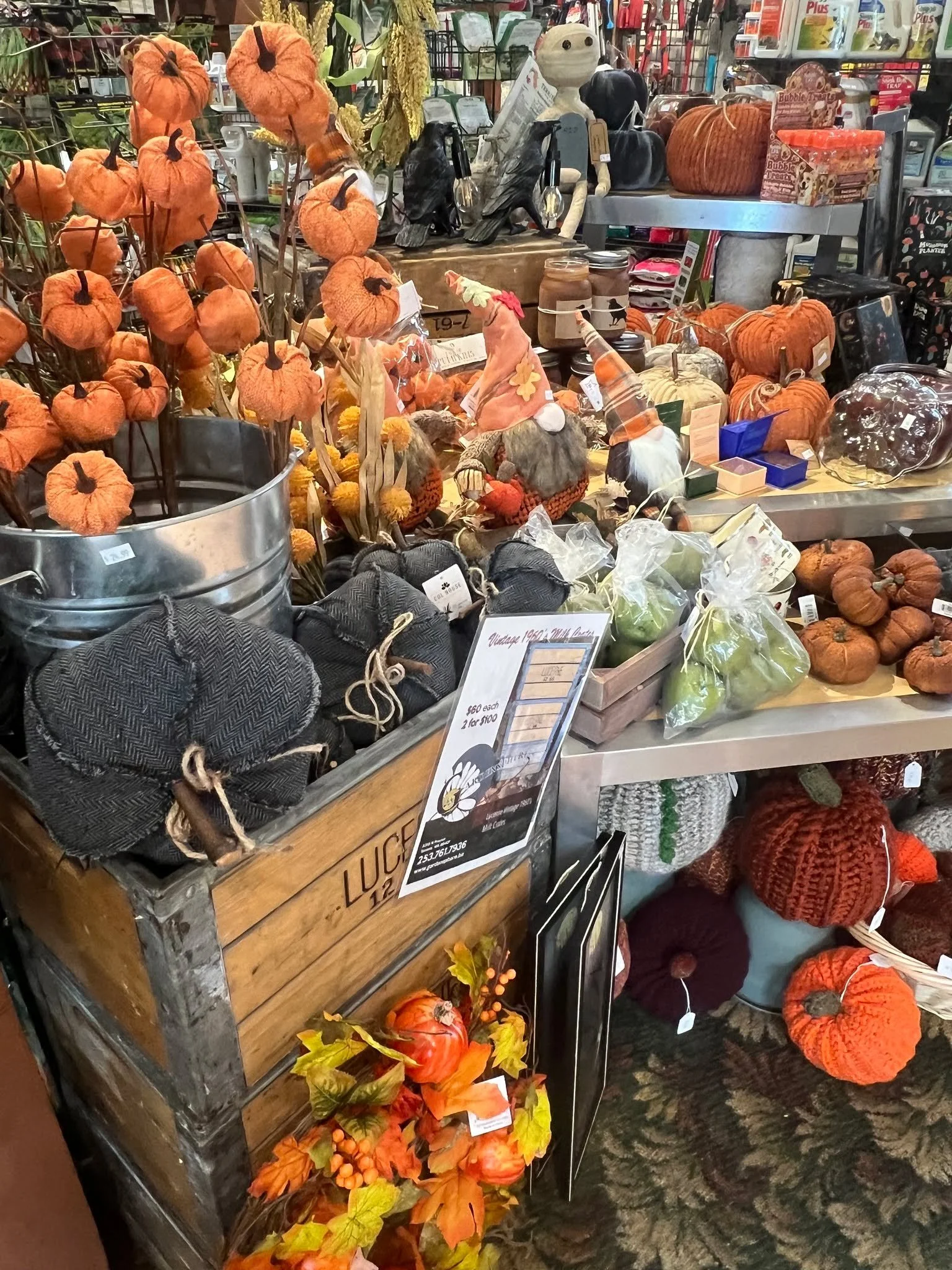 Come check out our new fall display (pics dont do it justice). Its SPOOKY 👻👻👻 #spookyvibes #tacomawa #fall #pumpkinseason