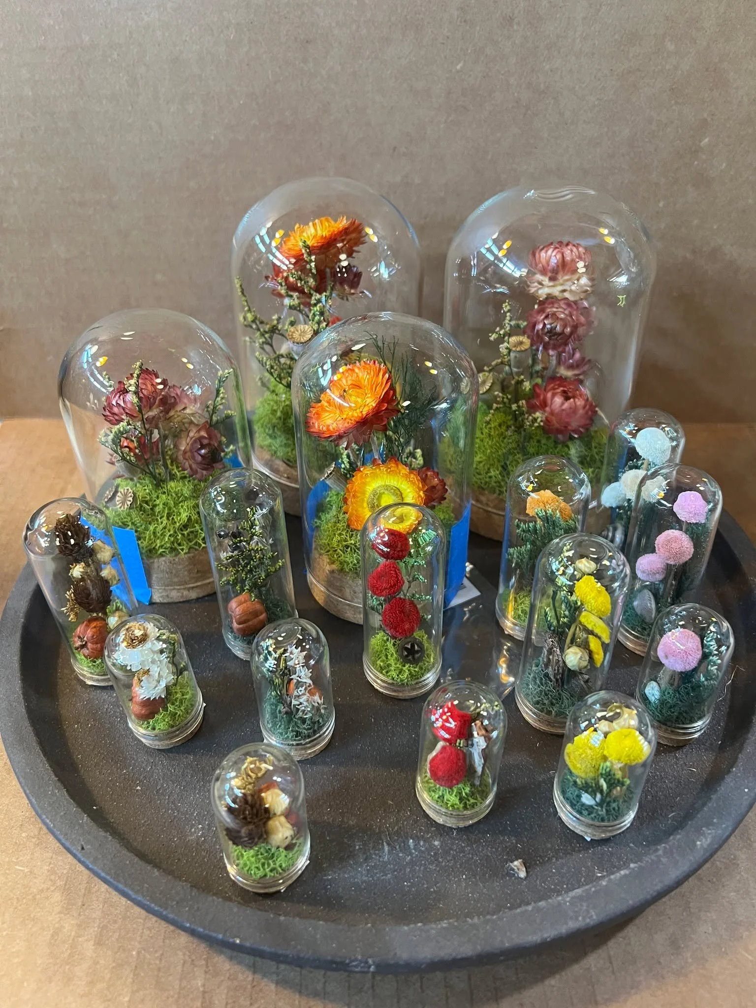 We just love these!!! Actual Preserved Flowers and Mosses.  No Watering or maintenance is needed!!