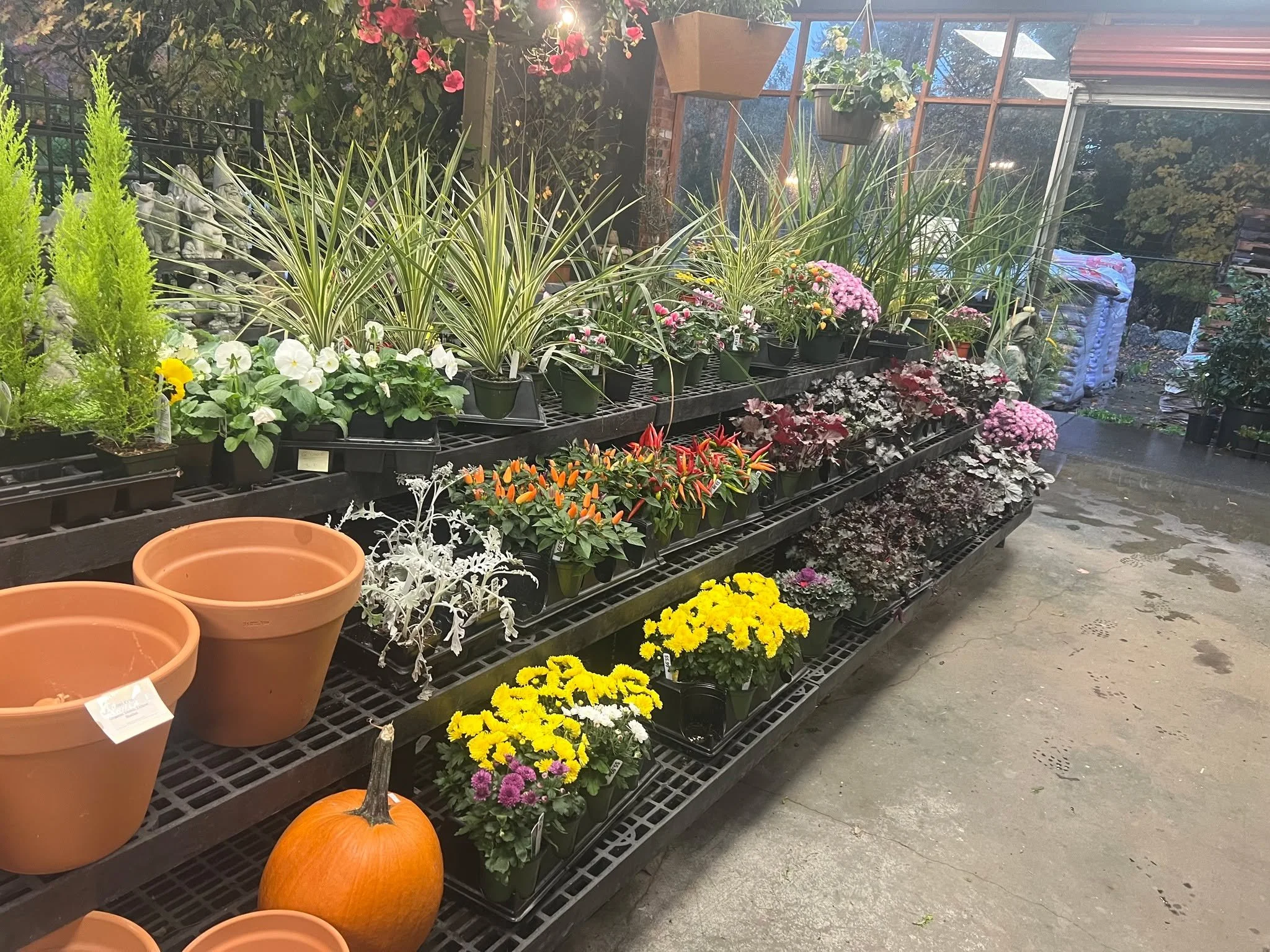 Wanna Garden, but not in the rain? Remember we have a large covered shopping area.  Oh rain.  We were due though, been a beautiful fall. 🍁🍂🎃