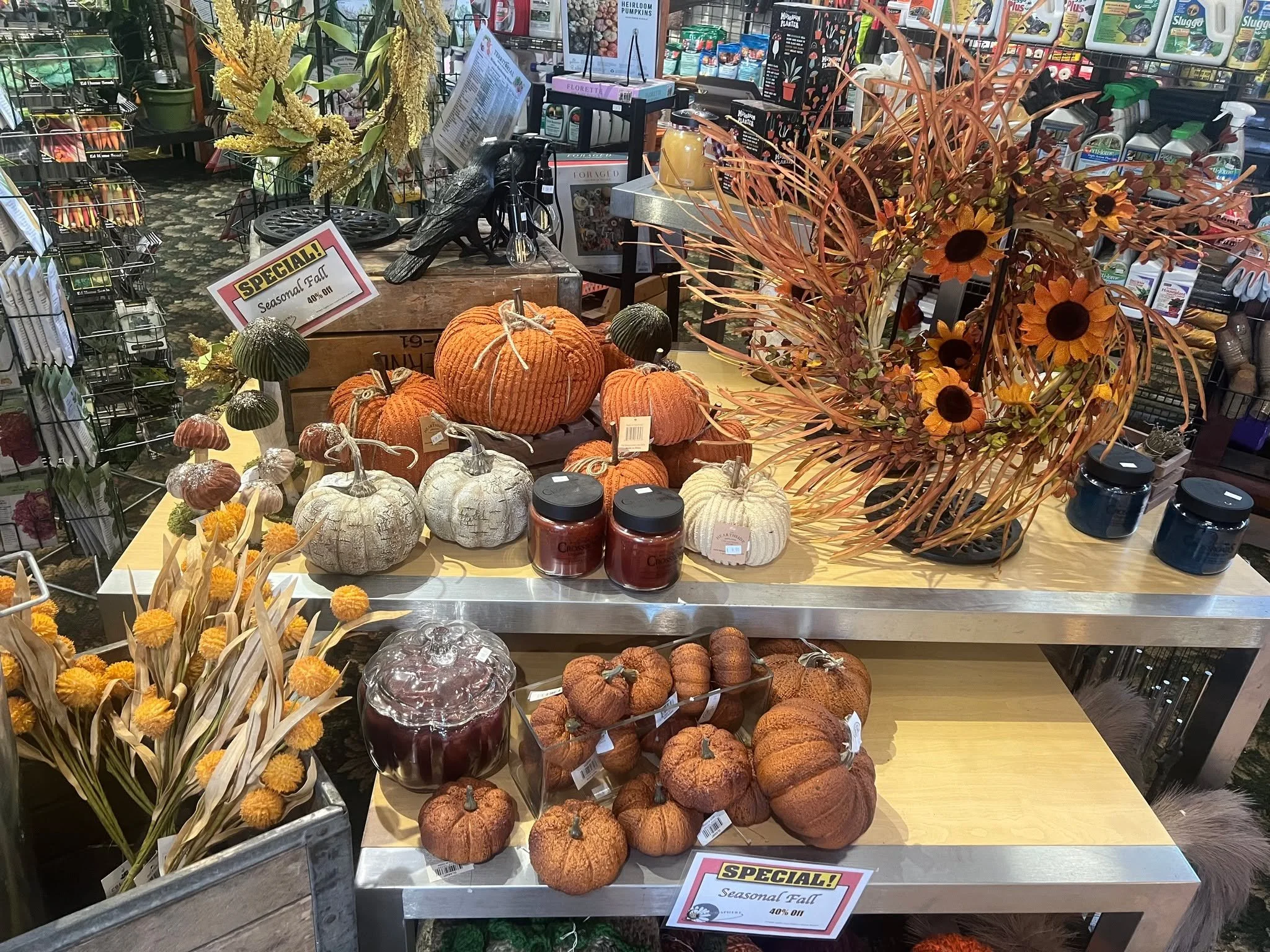 We need to make room for Christmas Trees 🎄🎄🎄!! Fall Decore and Fall Bulbs all 40% OFF!!!!