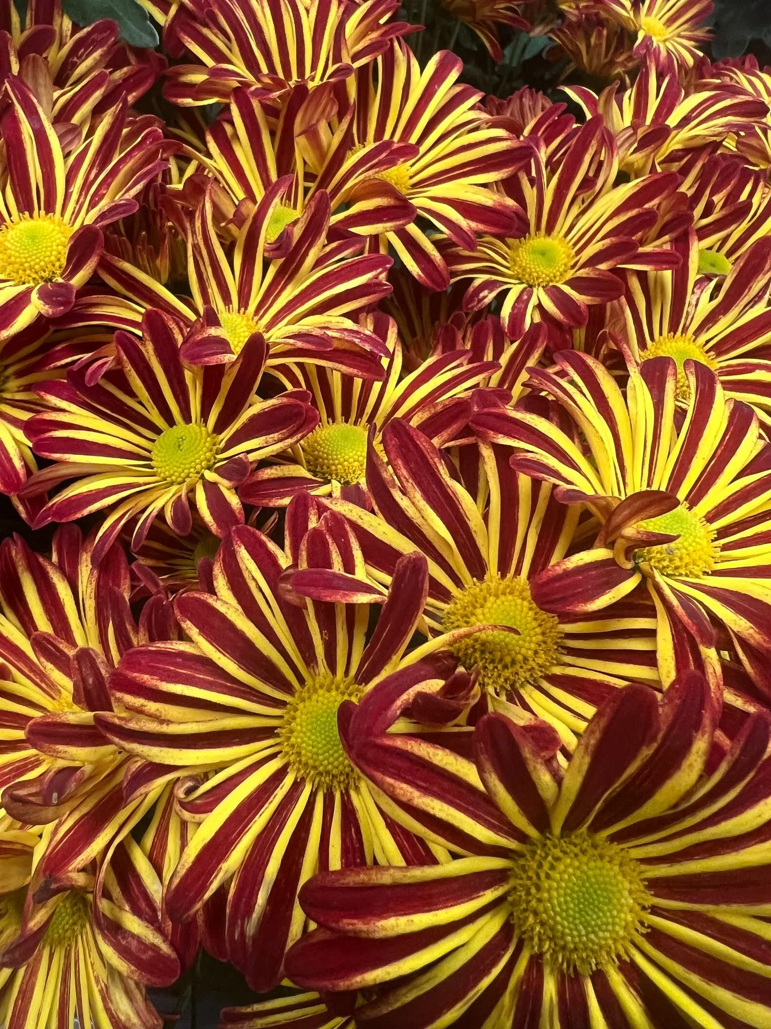 Stunning!! 🤩😍🤩