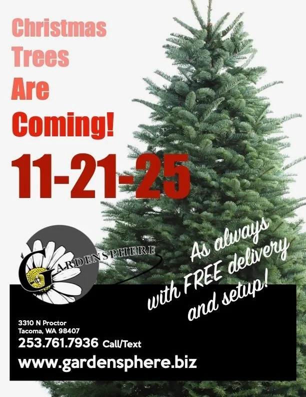 🎄🎄🎄🎄🎄🎄🎄🎄🎄🎄🎄🎄🎄🎄🎄🎄