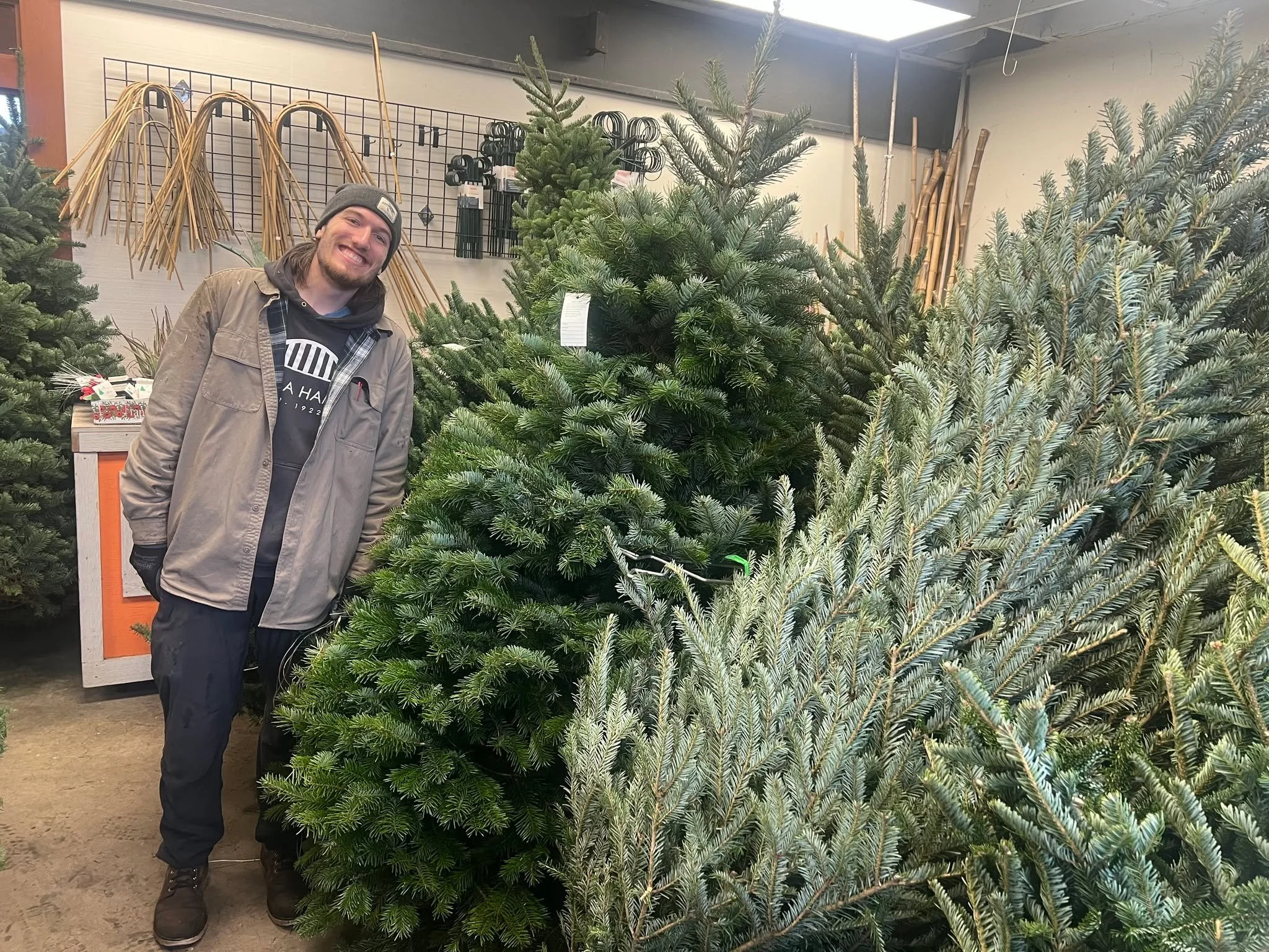 Want a Christmas tree today but dont want to get wet? 🌧 Come in and shop under cover and let Lucas and Parker help you pick out your Tree!! As always FREE DELIVERY AND SETUP!! 🎄🎄🎄