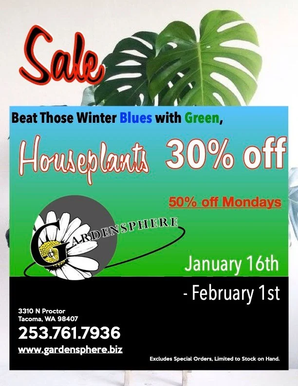 Sale still going strong though February 1st.  New plants arriving multiple times a week!! #houseplants #tacoma #plantsmakepeoplehappy #gardensphere #plantsale