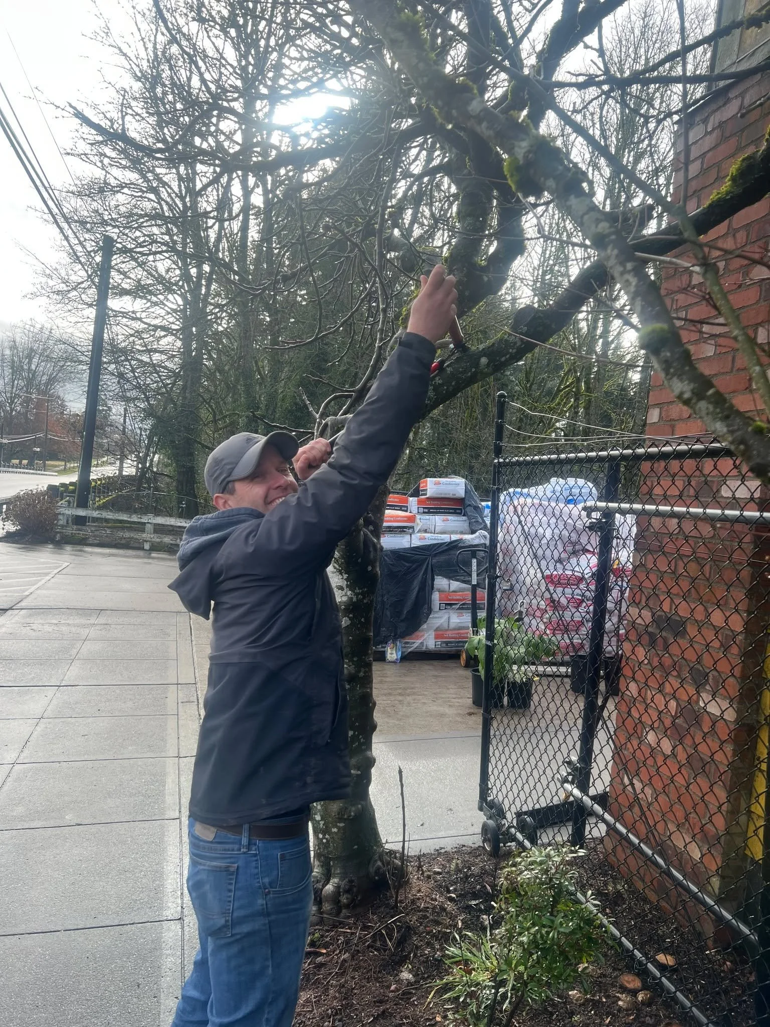 Did you know Jan/Feb are the best time to Prune and Treat your Fruit trees?  We offer pruning, fertilizing and spraying services.  Come in today, message us or text or call @ 253.761.7936 to schedule a free estimate or just to talk about your trees! 