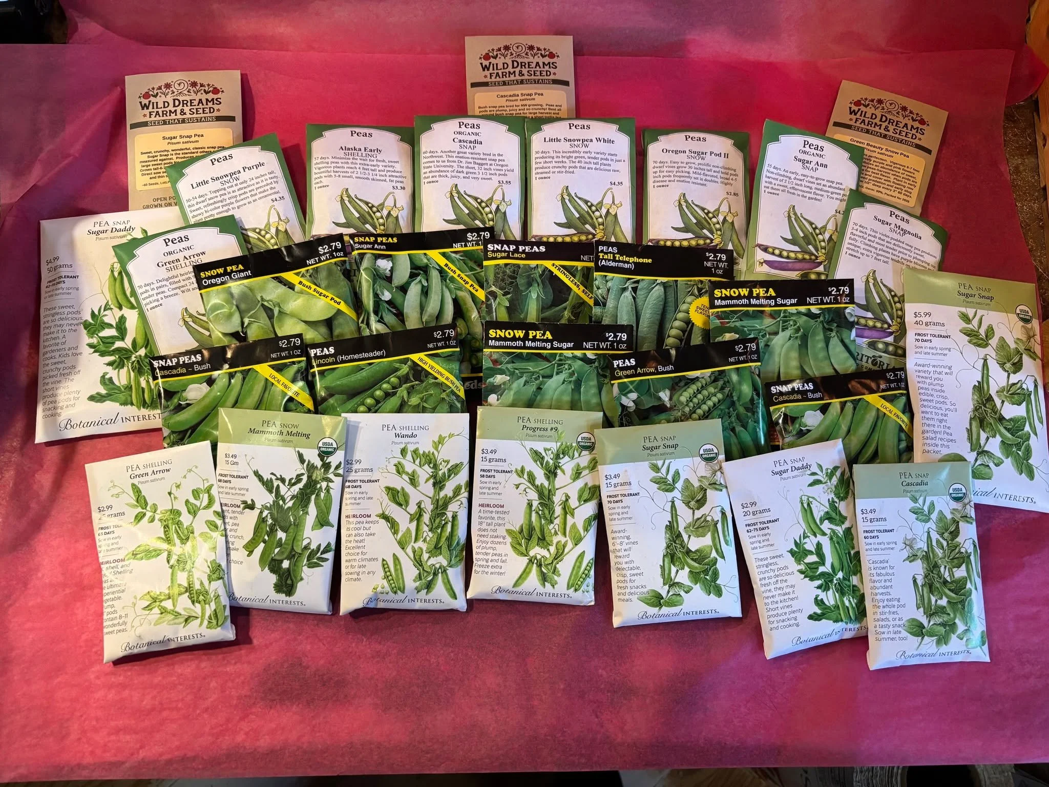 Presidents Weekend is a great Kick off to Pea season!  You can start planting your 1st Edible Pea and Sweet Pea (flowering) seeds currently!  We have an amazing selection of both in stock now!  Starts will be rolling in soon as well!! 

#gardensphere