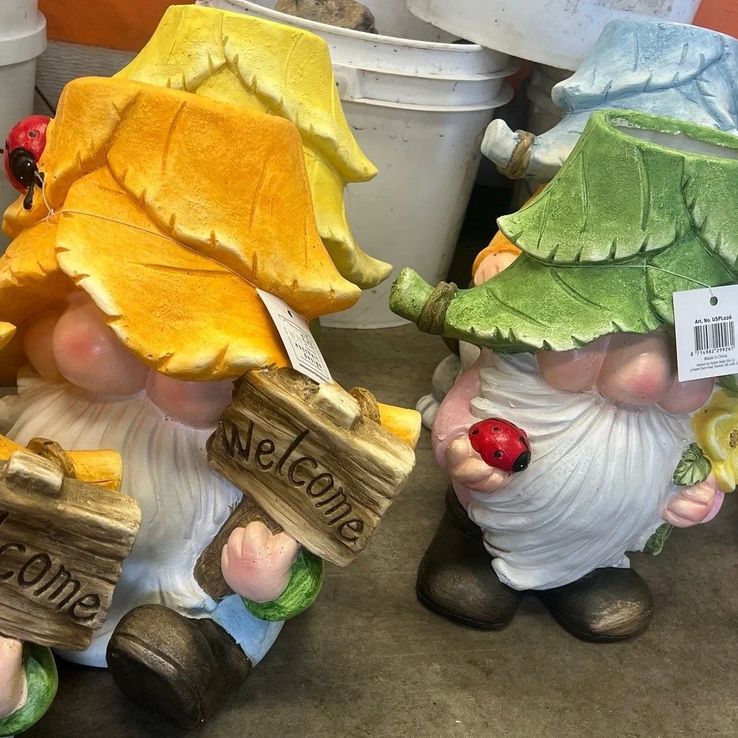 Gnome Planters!! They are just so freaking adorable. 😍😻