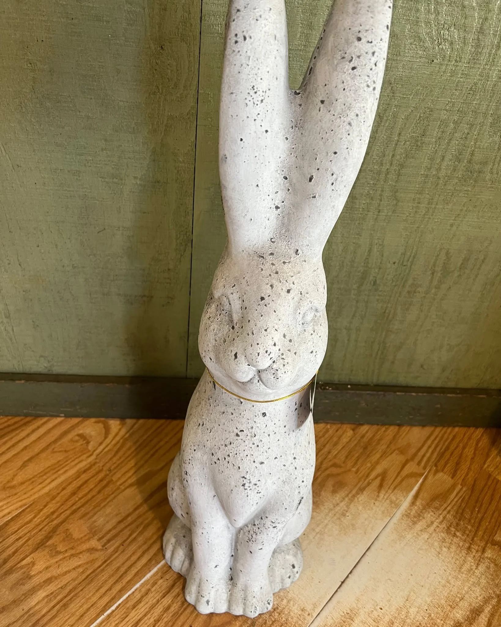 This sun has really brought in the plants! Tons of Color, Veggies, and much more.