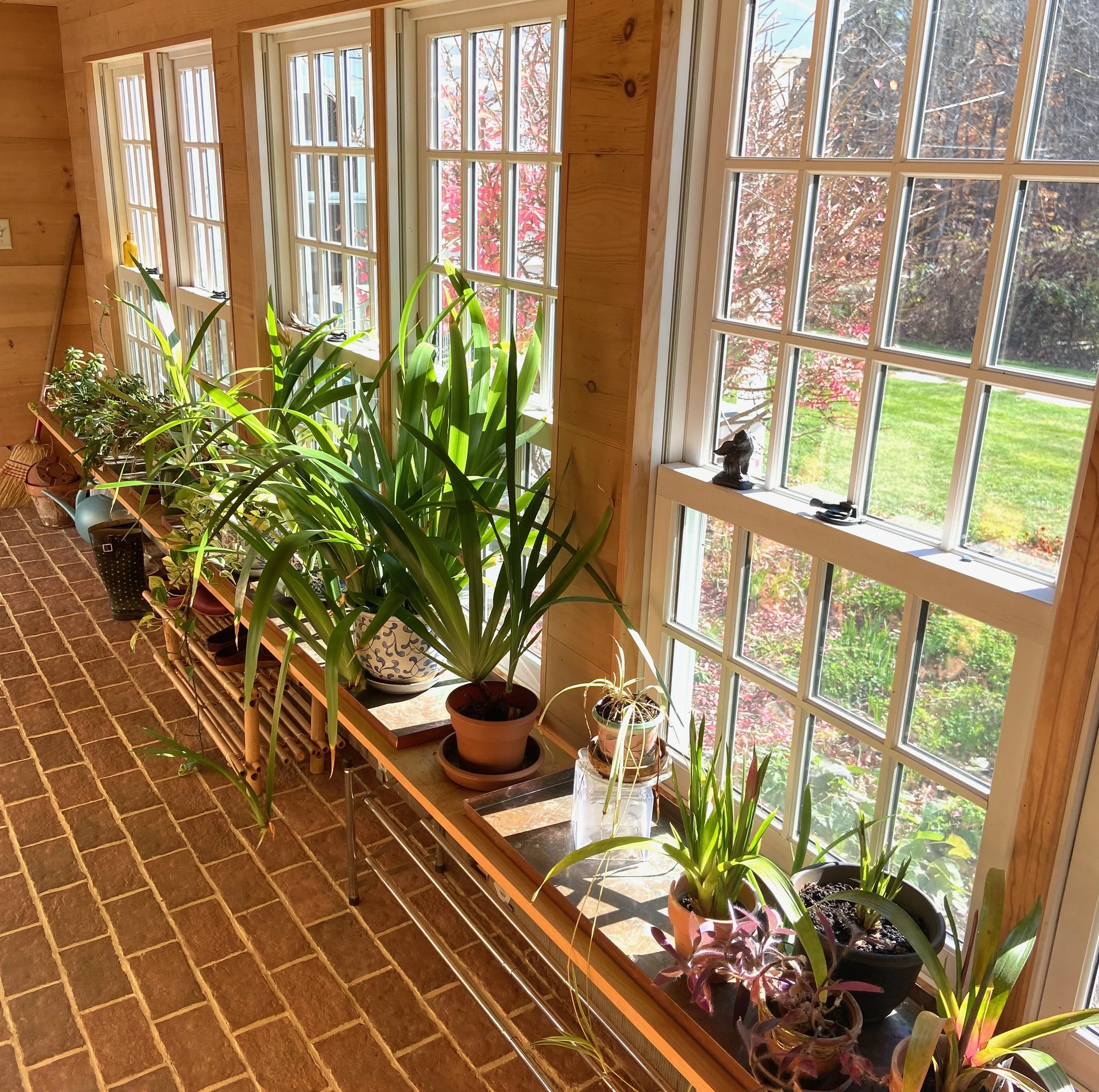 HF Happy Plants.jpeg