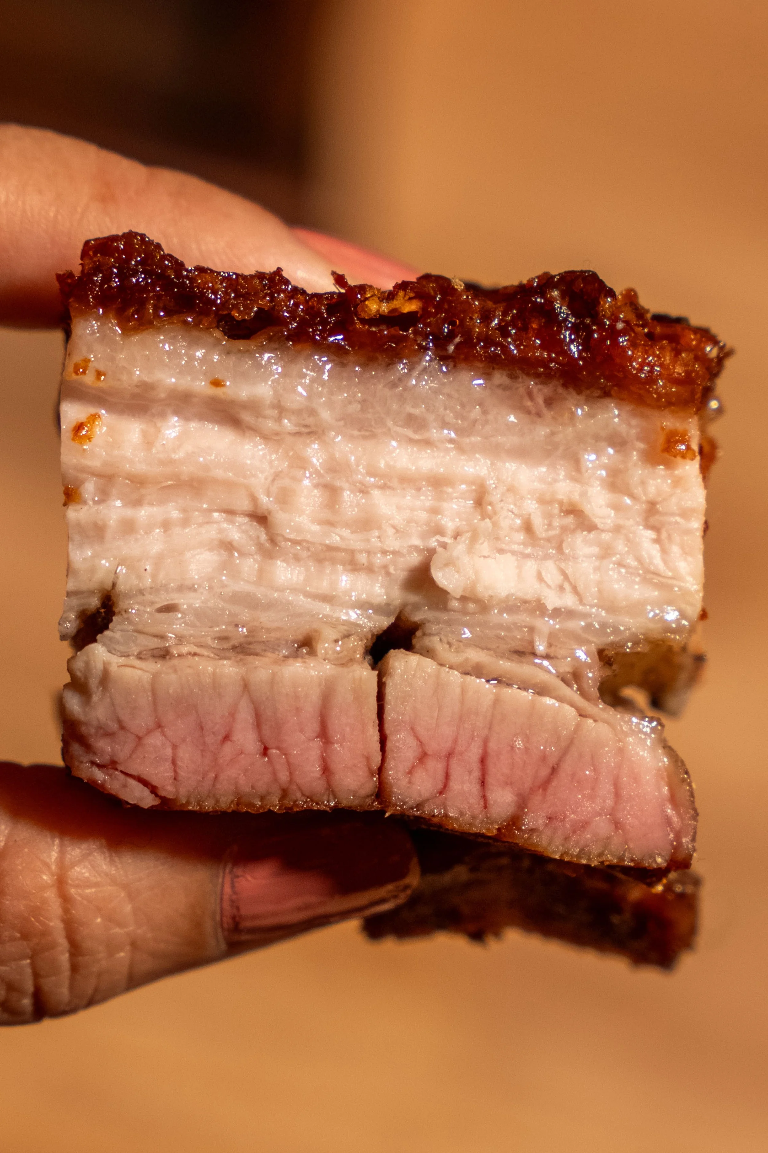Close-up of sliced cooked pork belly with crispy skin and layers of fat and meat.