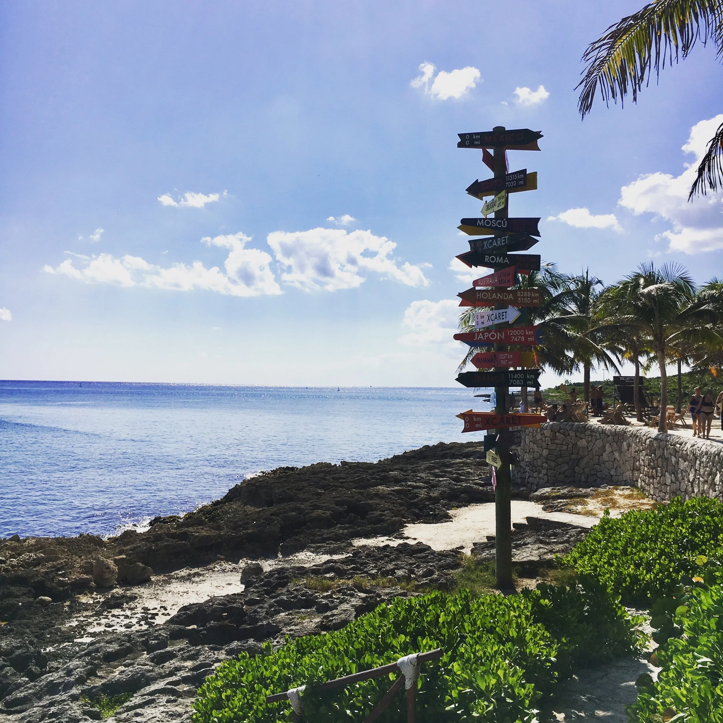 A colorful signpost with directional arrows pointing to various destinations, situated on a rocky coastline with a beach, ocean, palm trees, and a bright sky in the background.