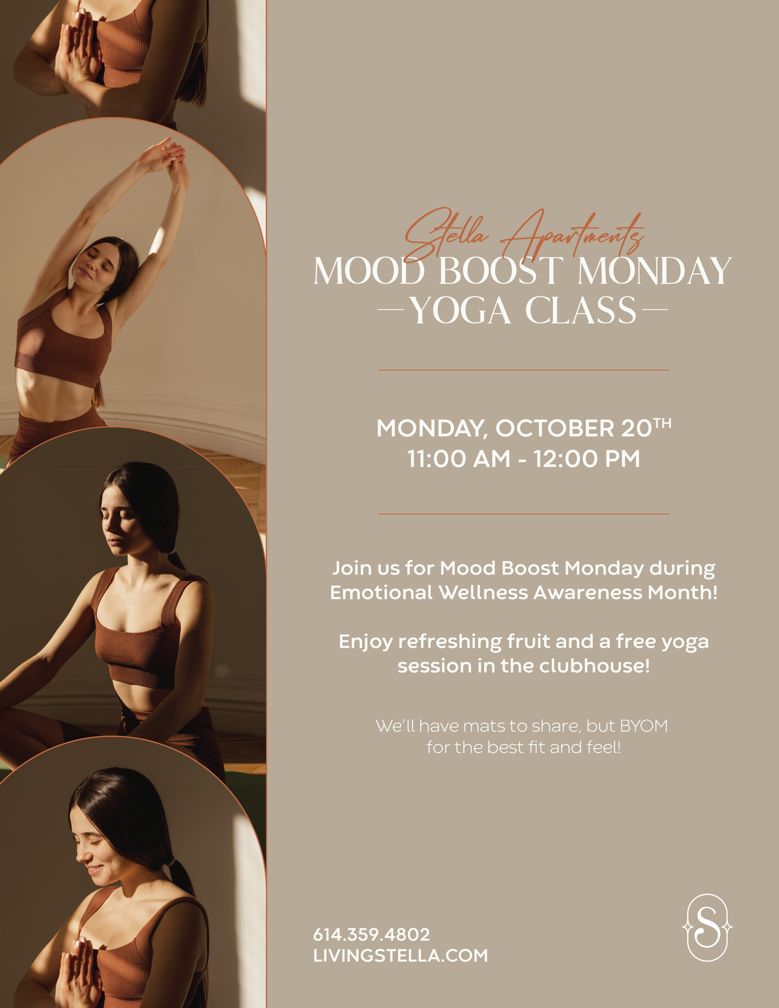 Stella_Mood Boost Monday_Email.png