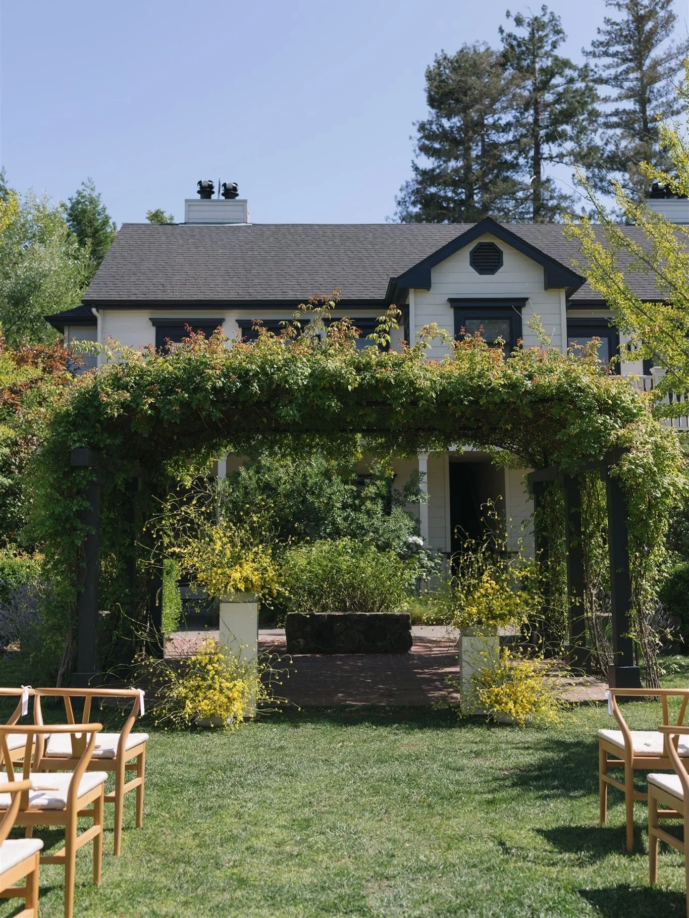 Let&rsquo;s be real -

Running a business doesn&rsquo;t pause real life. Some weeks I&rsquo;m designing bouquets while also sorting through my own emotions, losses, or anxieties.

But in the middle of it, I&rsquo;ve found this truth: God is gentle wi