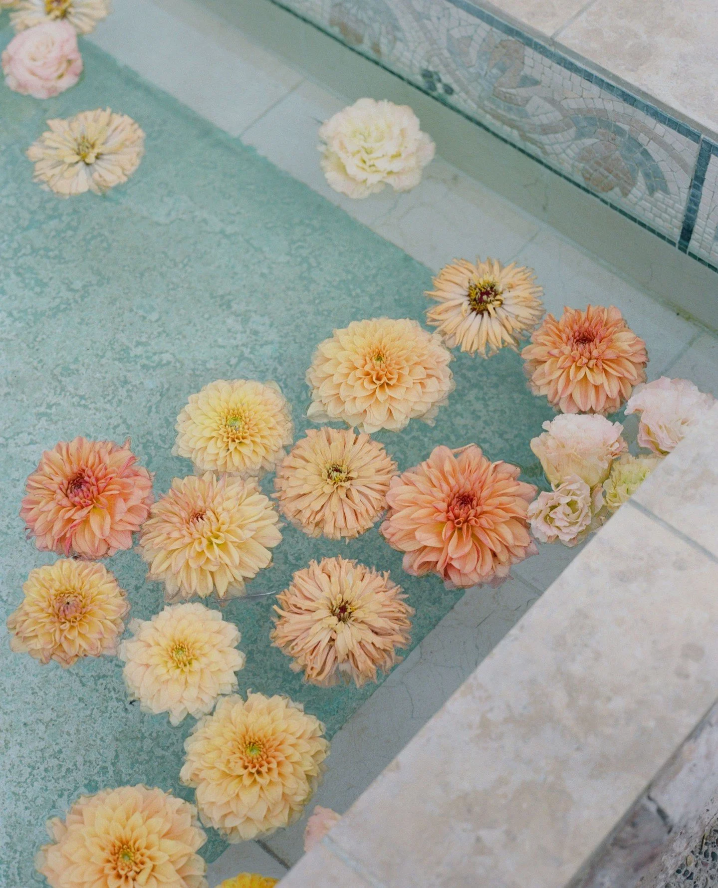 One of the most beautiful things about life that is also the most stressful at times, is that there is change, it is garantee and a constant in life. ⁠
⁠
After working on a flower farm during the height of COVID, I attempted to take what I learned at