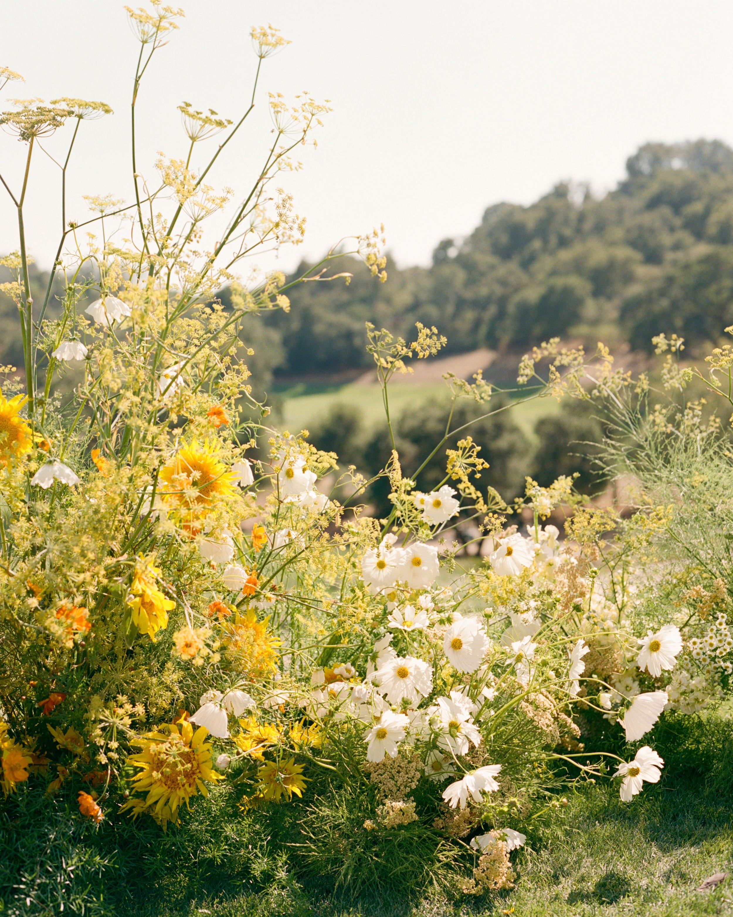 Nothing beats a ceremony that is bright and textural, which is fitting for a outdoor ceremony in wine country. 

Vendor Team: Venue: @mayacama
Photography: @cassievalentephoto
Video: @niceshotfilms
Florist: @gatherandkin
Planner: @tina.paisleyandplum
