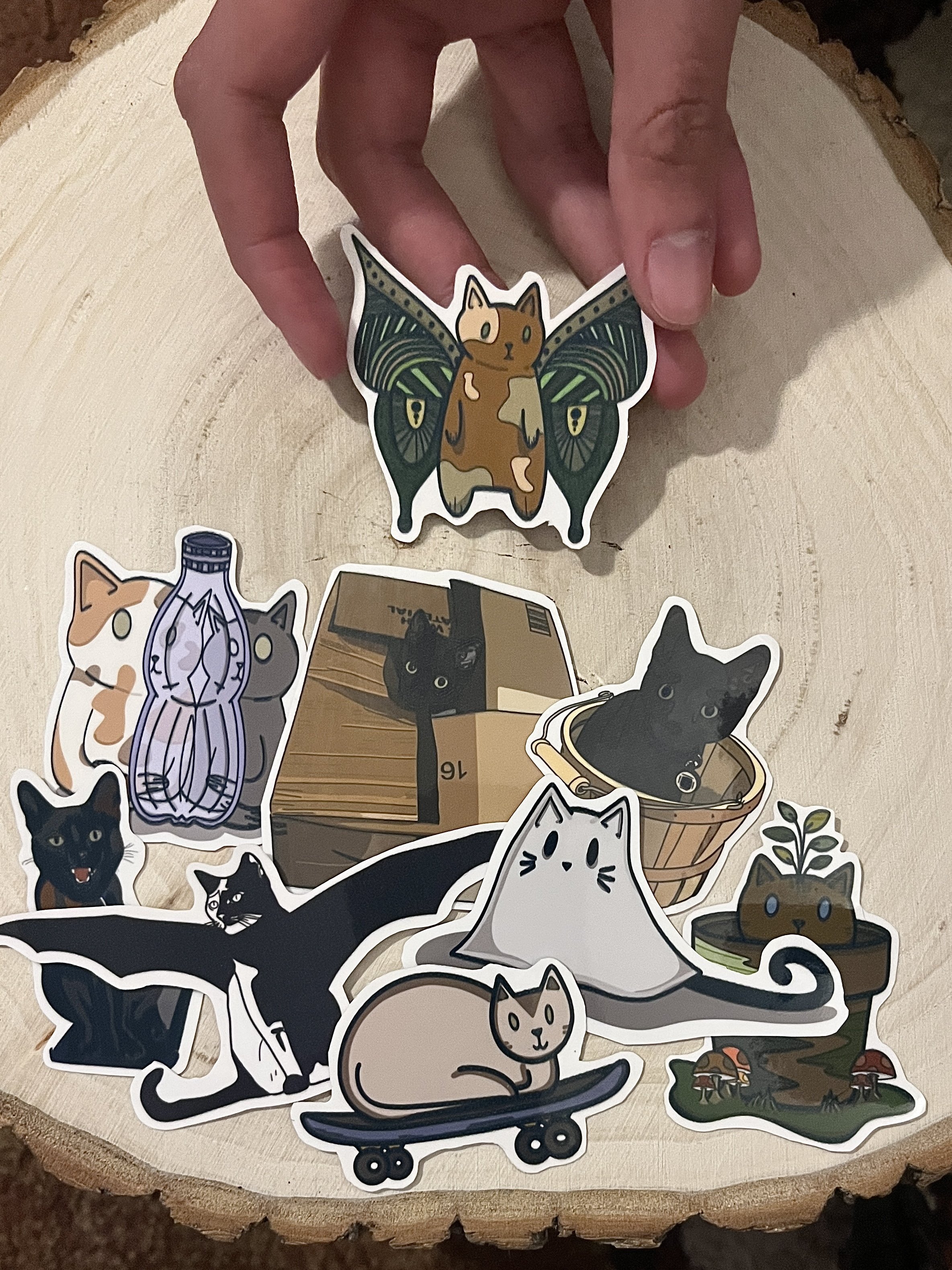 Cat Sticker
