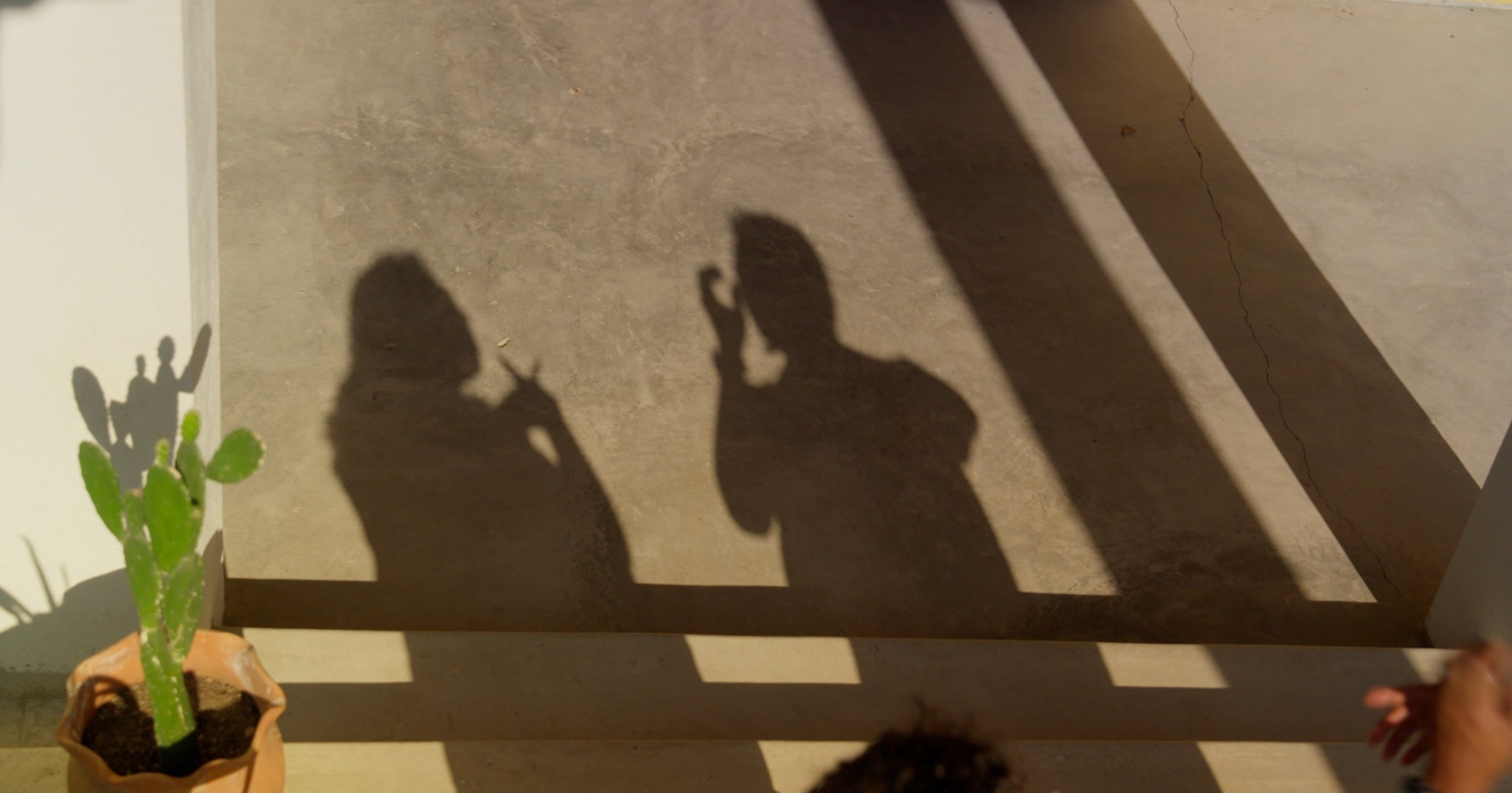 Shadow of two people on a wall, signing to each other and having a sign language conversation next to a potted cactus plant with a shadow cast on the wall.