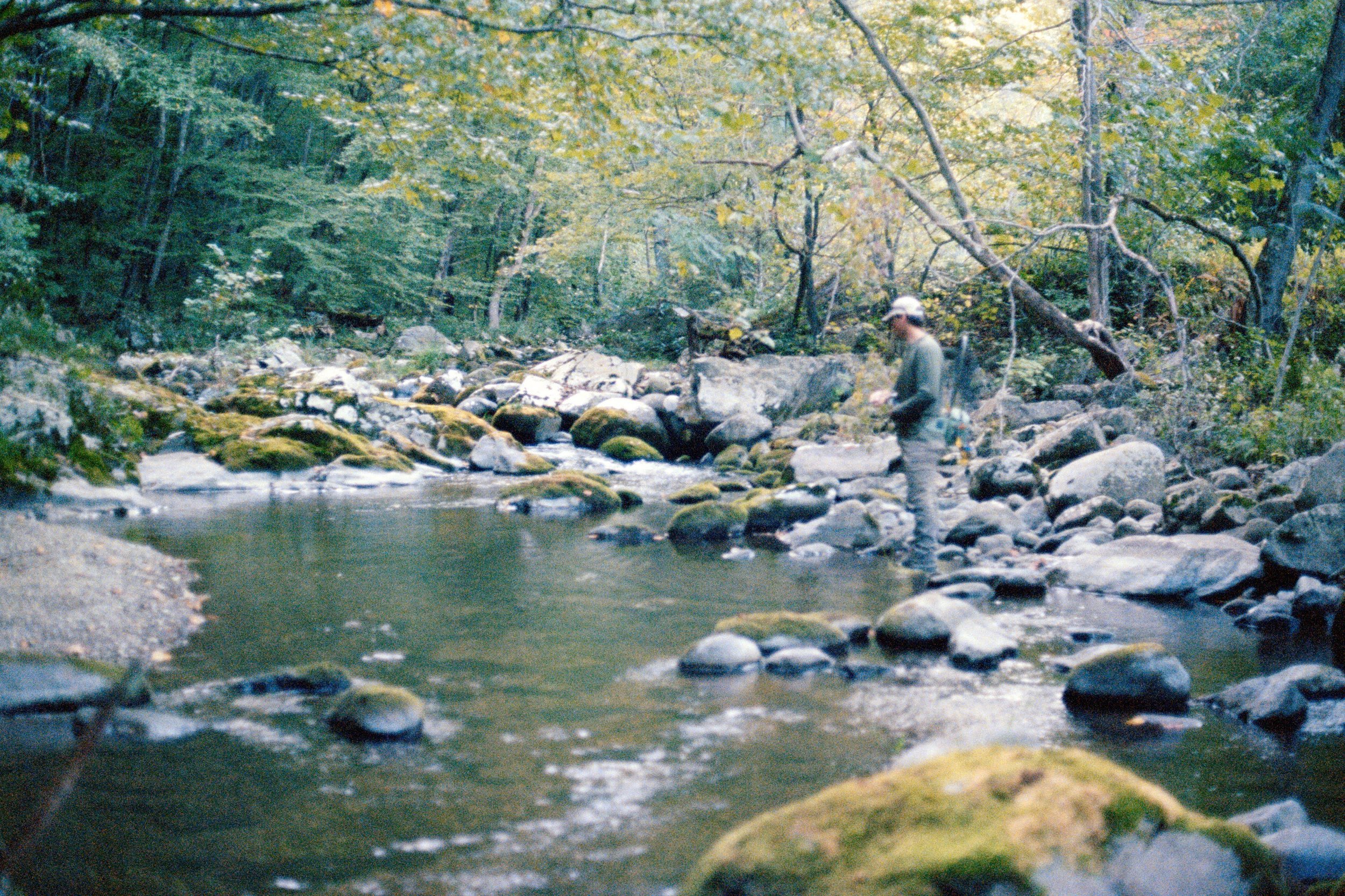 Person standing by a rocky stream in a forested area