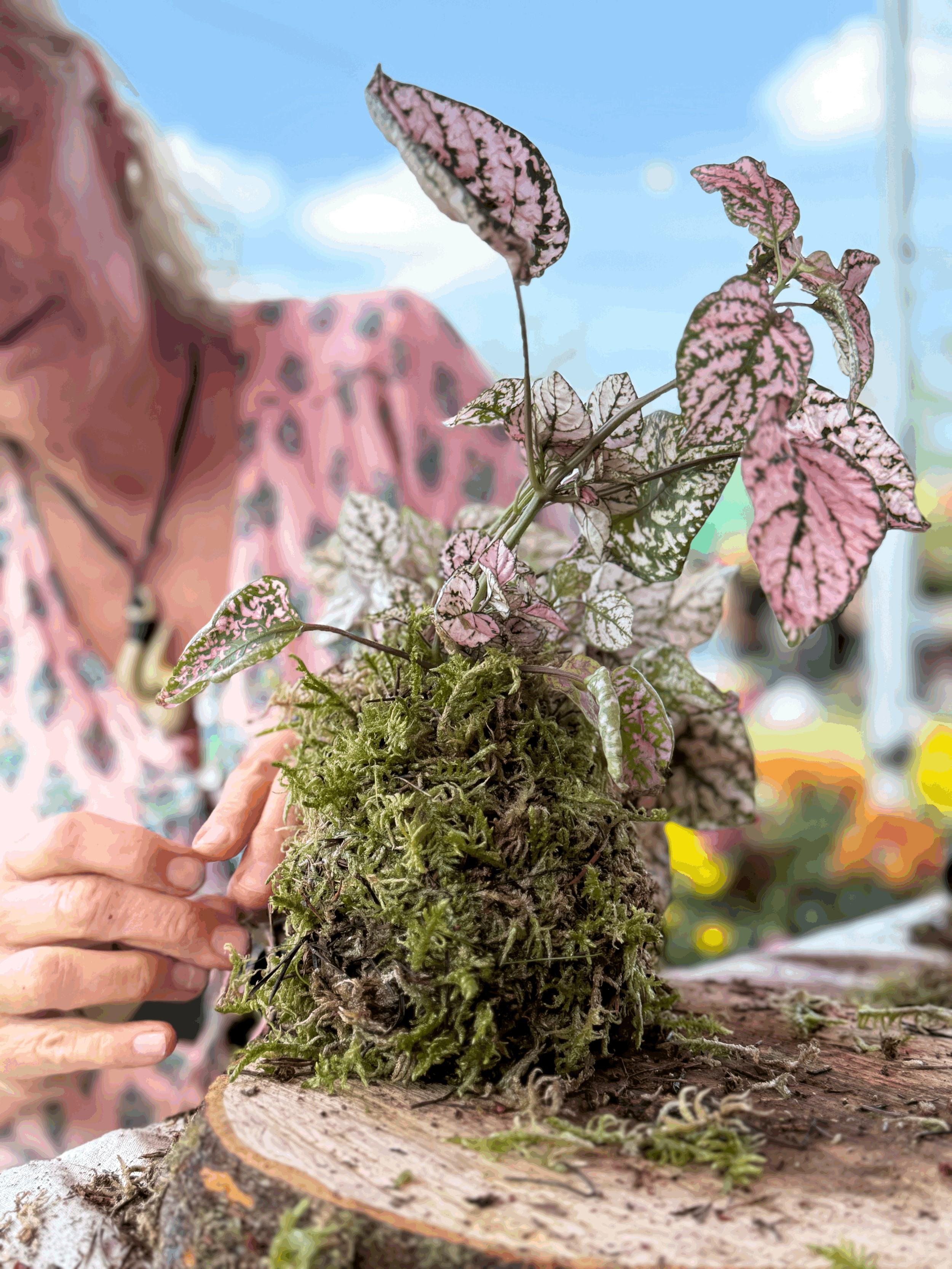 Kokedama Workshops