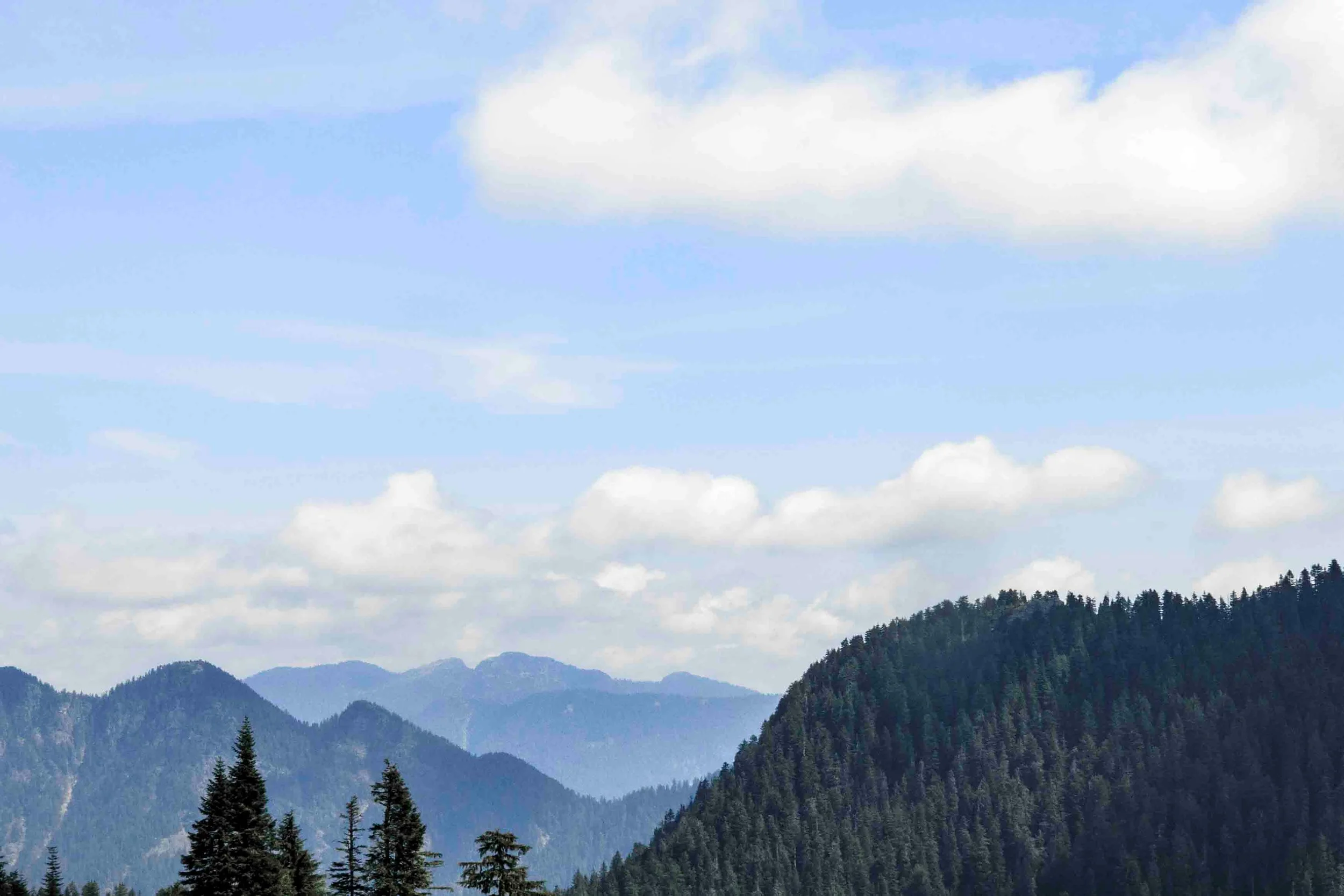 View From Grouse Mountain, BC