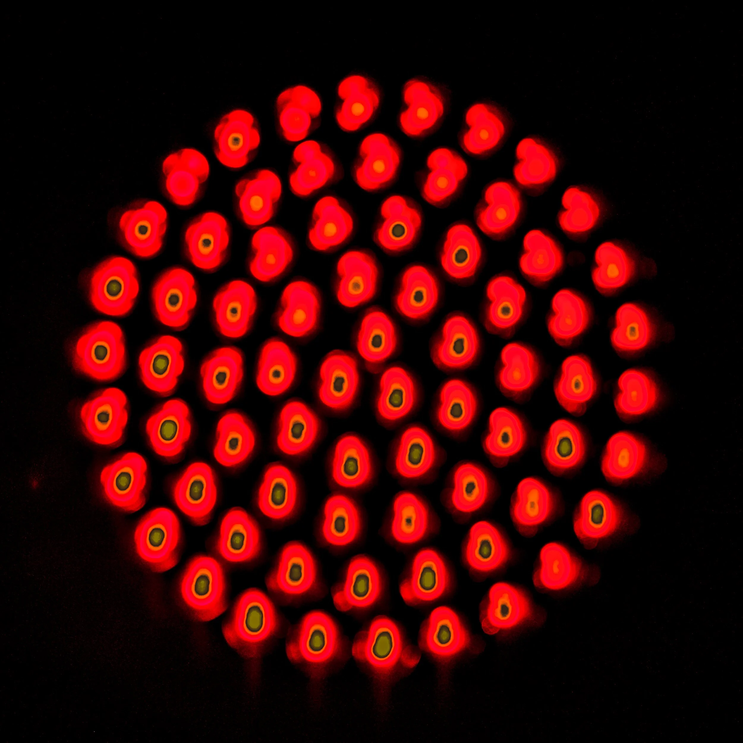 Assembled LEDs: Red